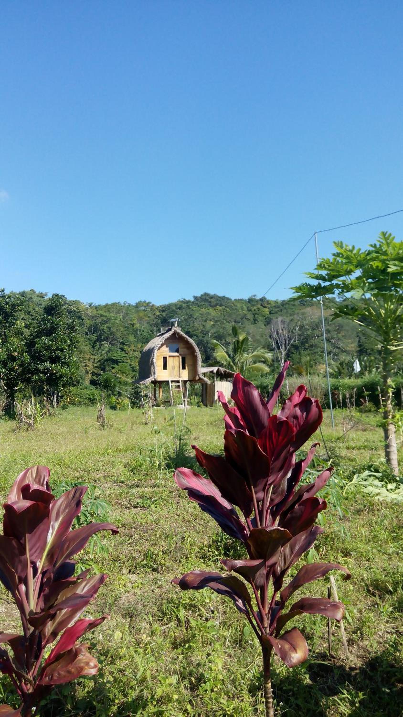 Tetebatu Indah Homestay