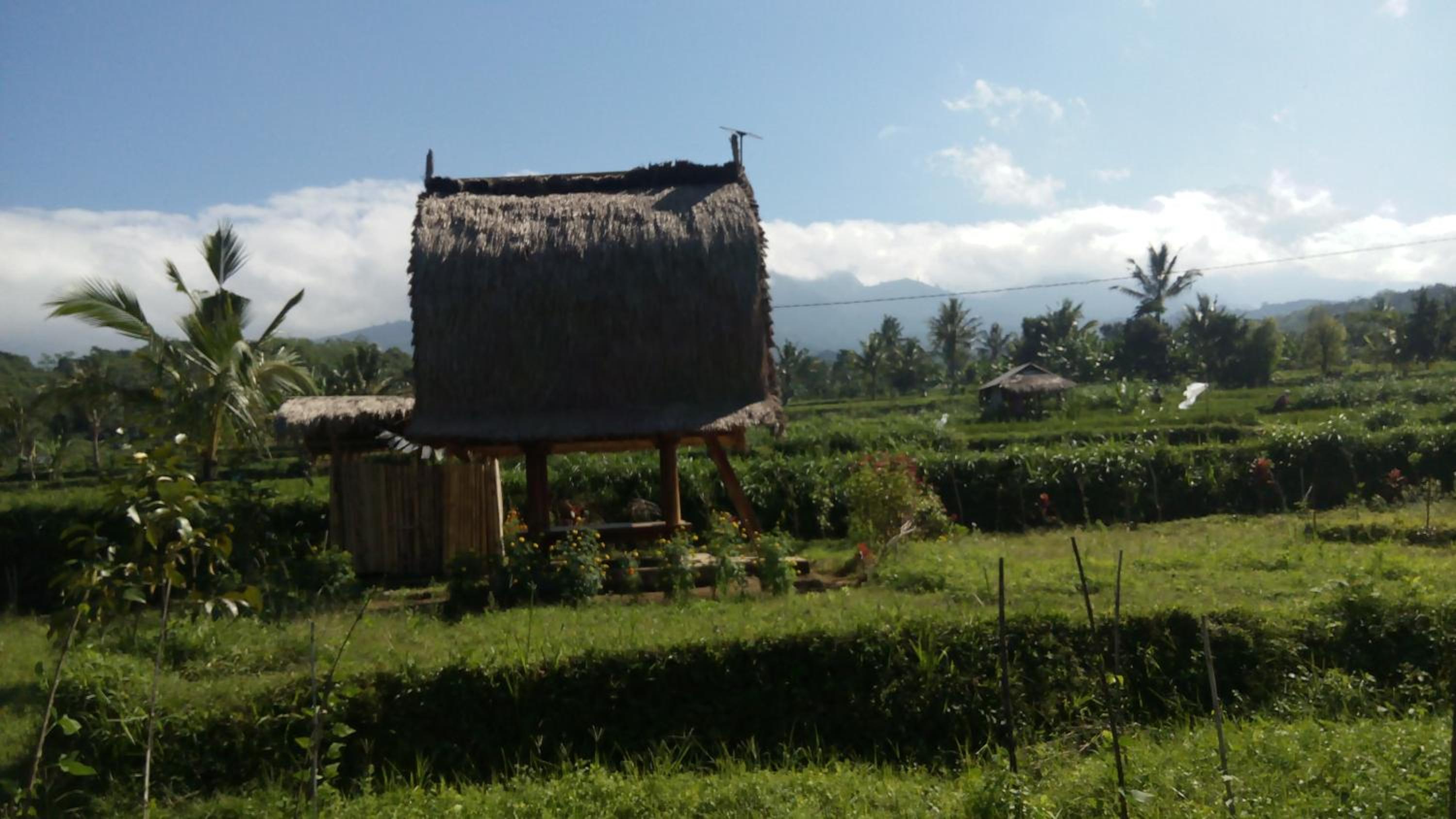 Tetebatu Indah Homestay