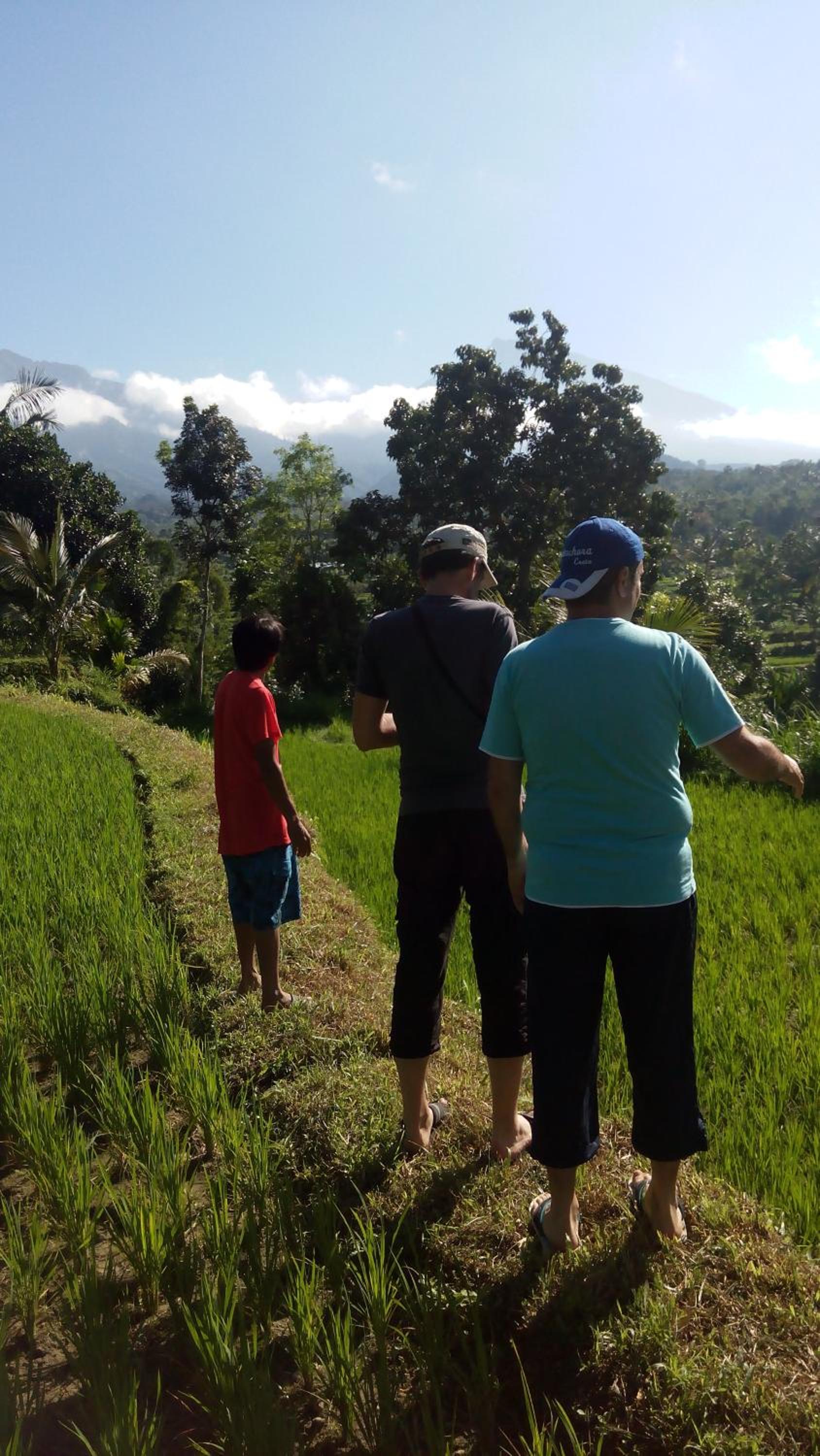 Tetebatu Indah Homestay