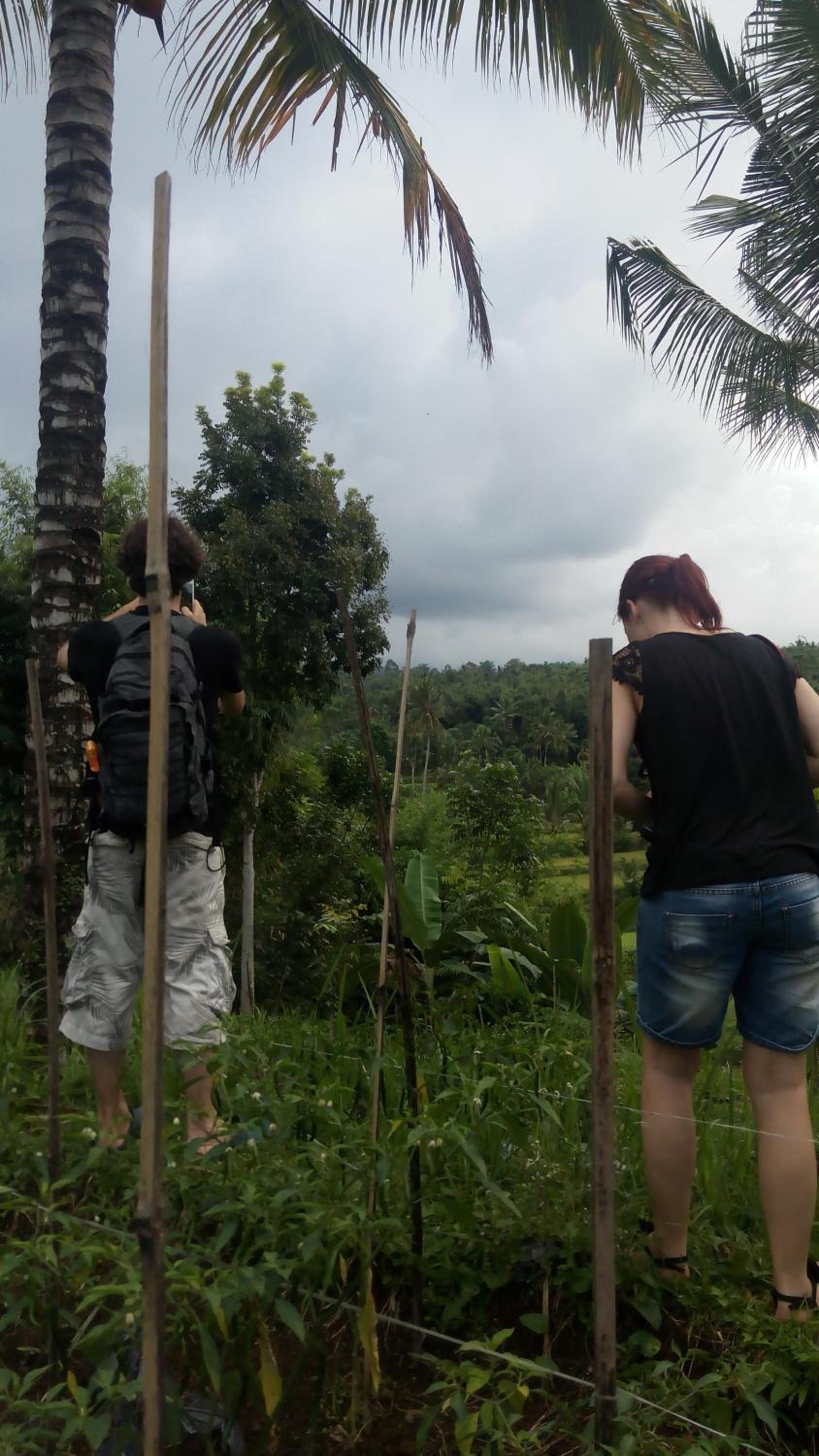 Tetebatu Indah Homestay