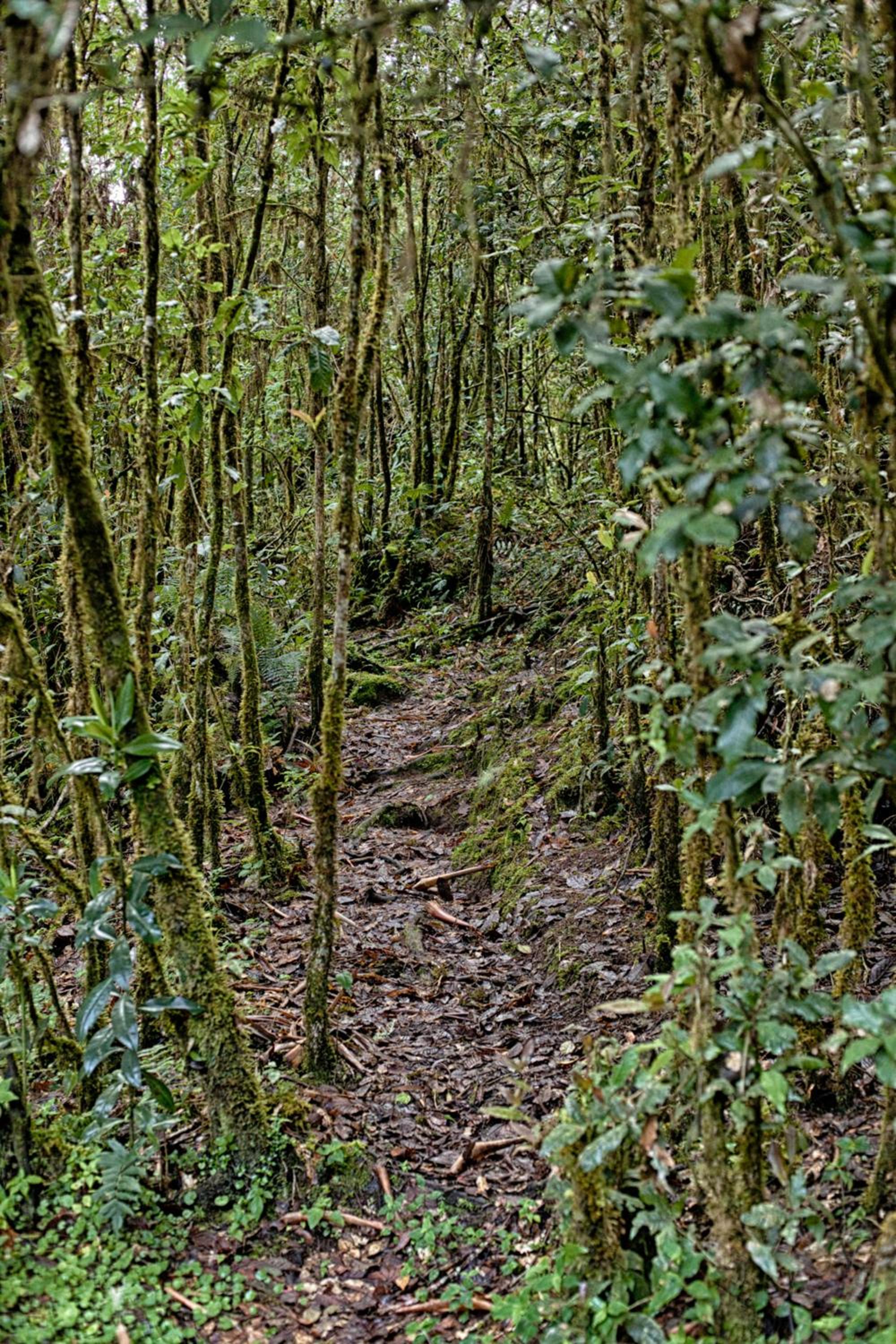 Photo 49