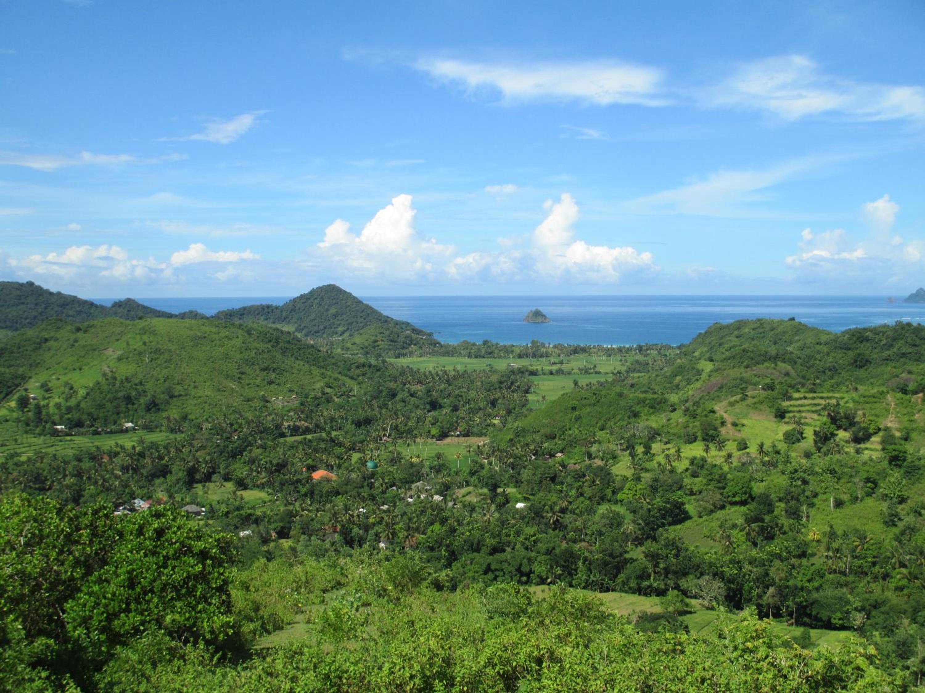 Selong Belanak Bungalows view 3