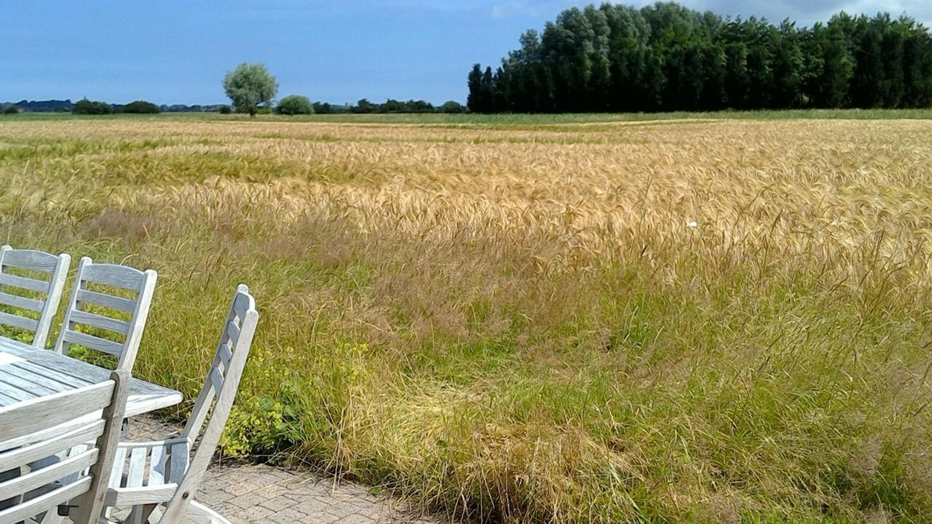 Ateljee Devlaux