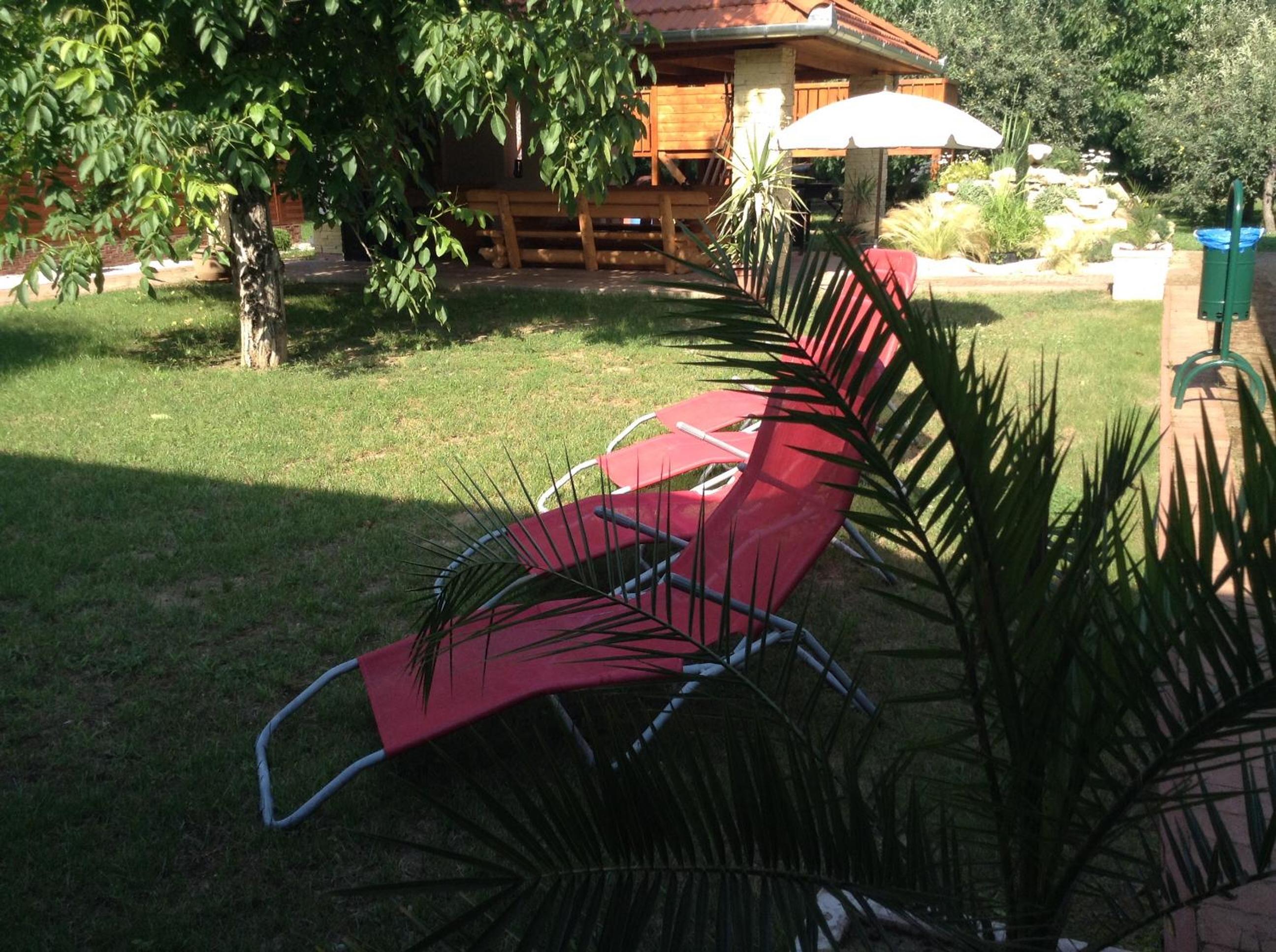 Photo 43