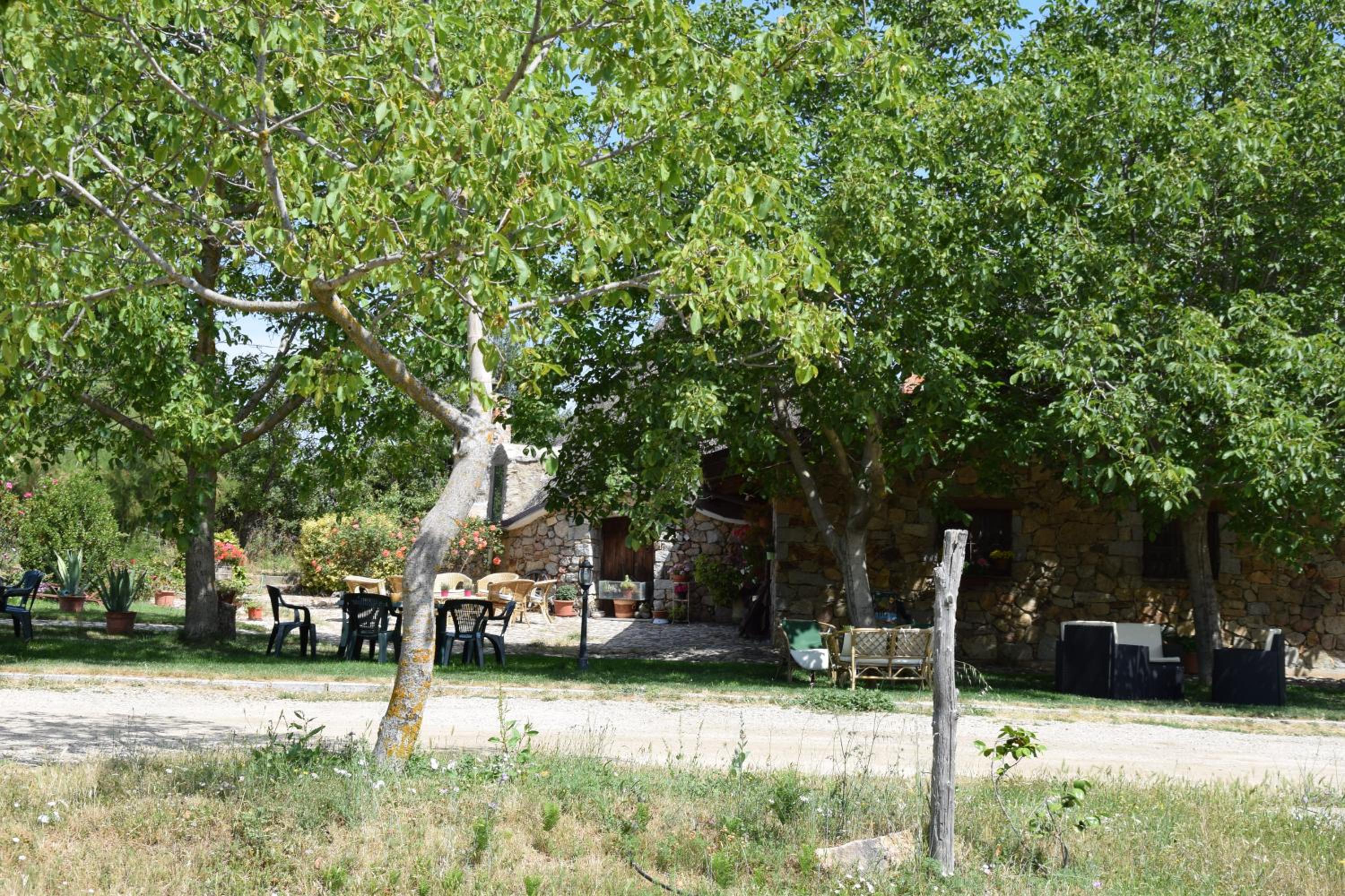 Photo 43