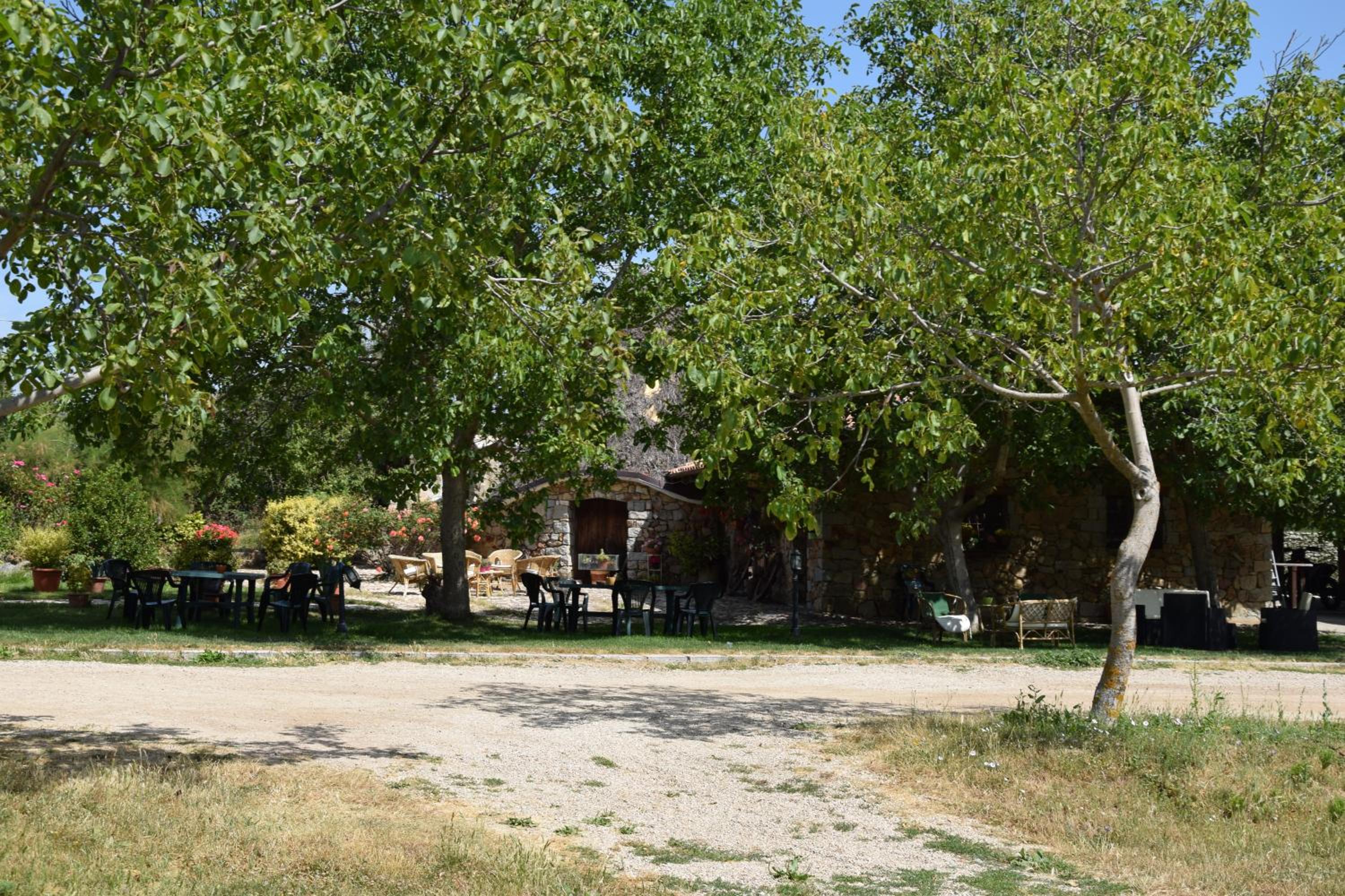 Photo 44