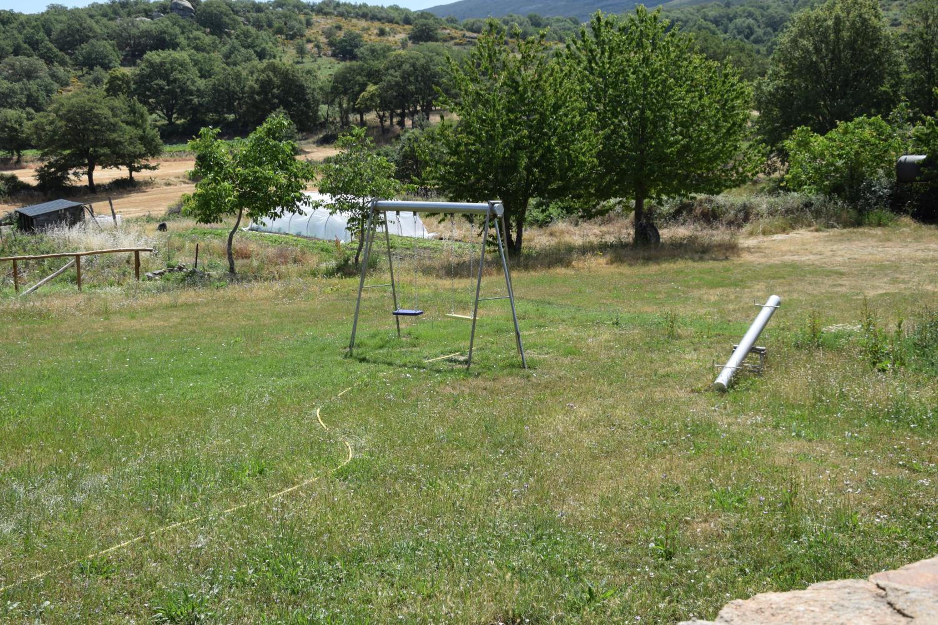 Photo 10