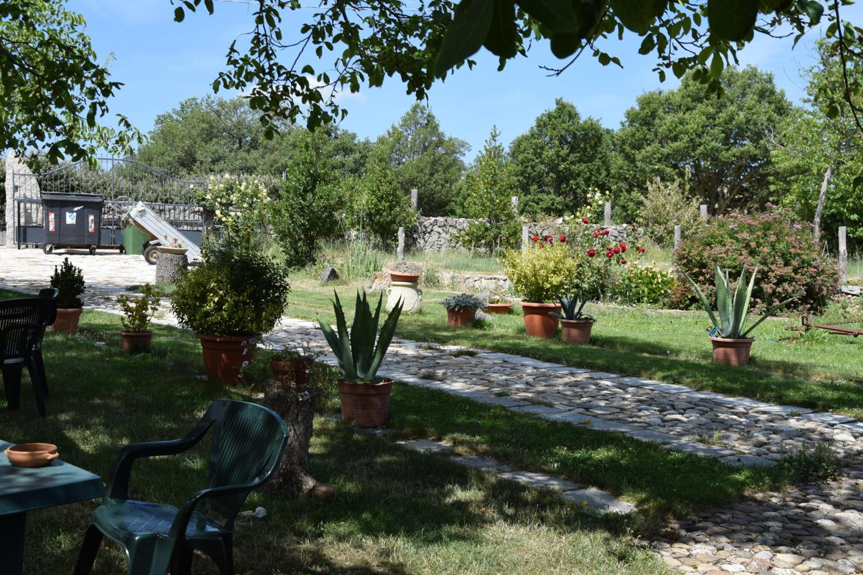 Photo 12