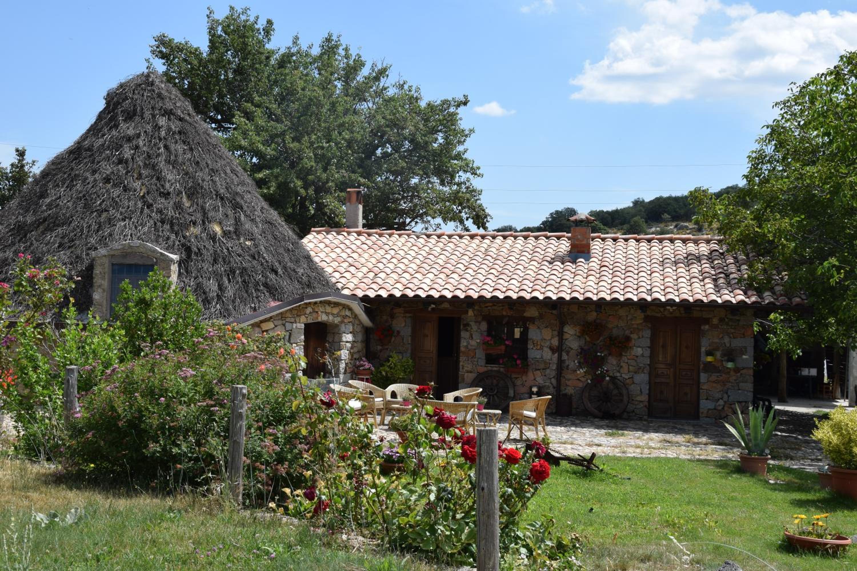 Photo 19