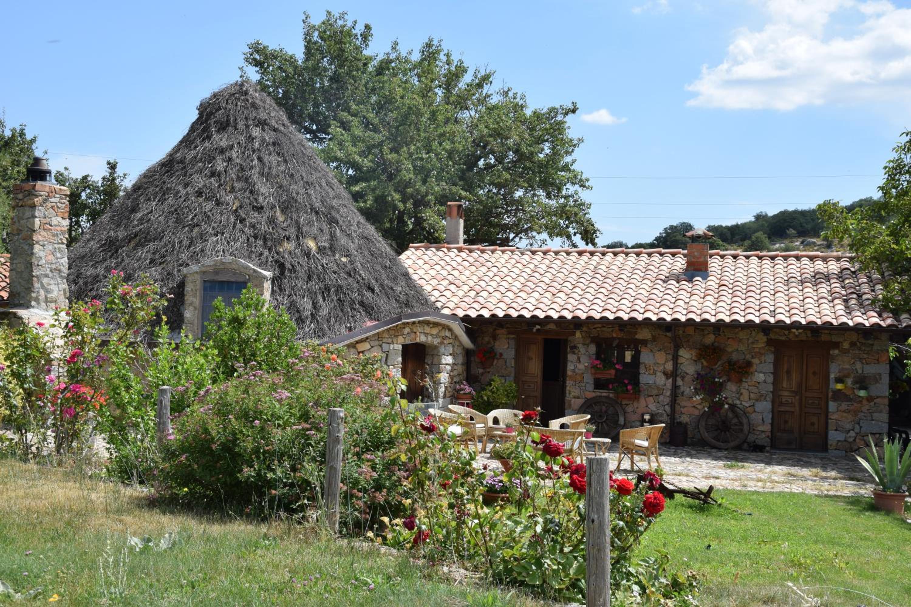 Photo 20