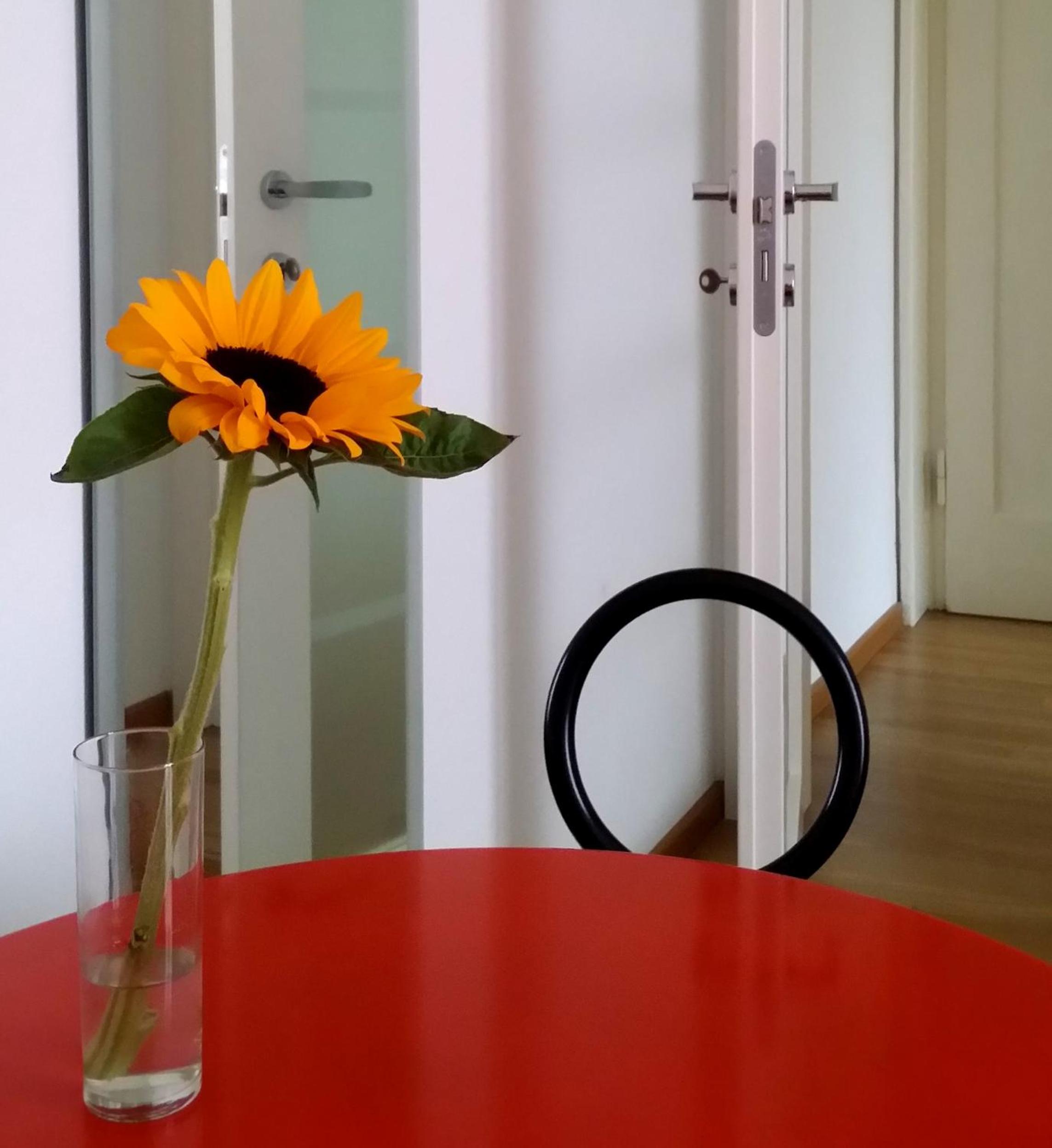 Zip b&b . design in Florence