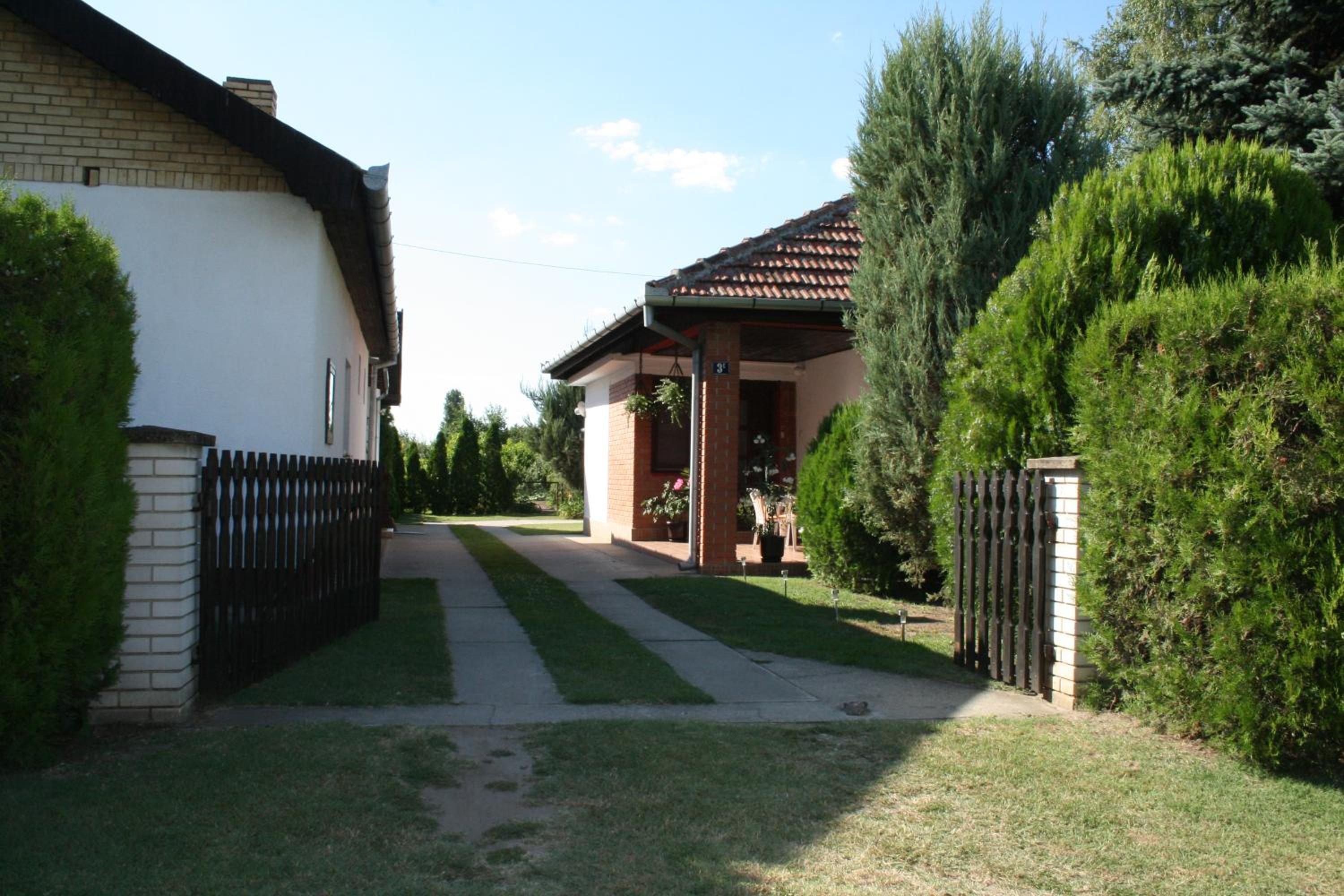 Photo 45
