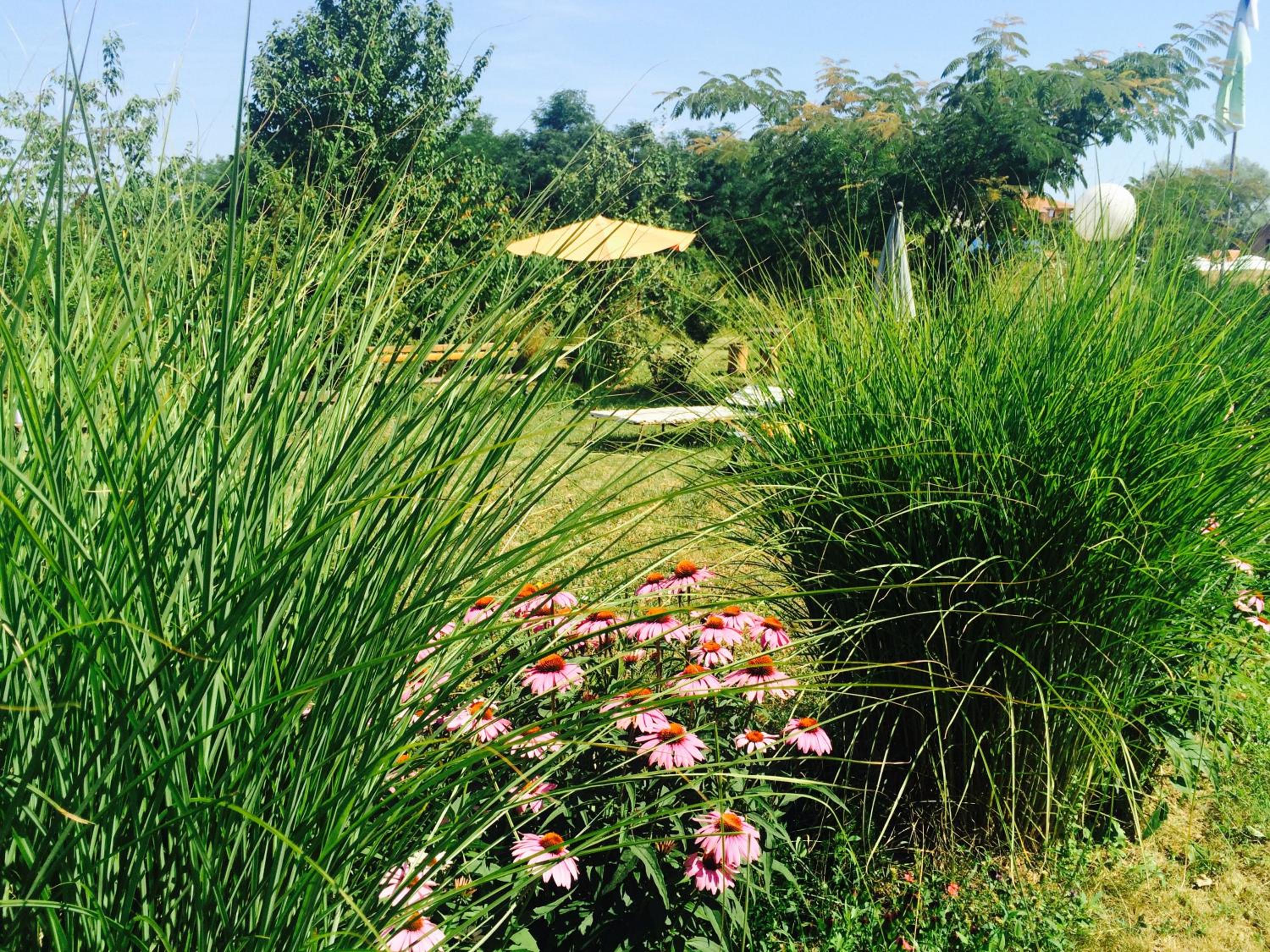 Morava Garden - Village Tourism