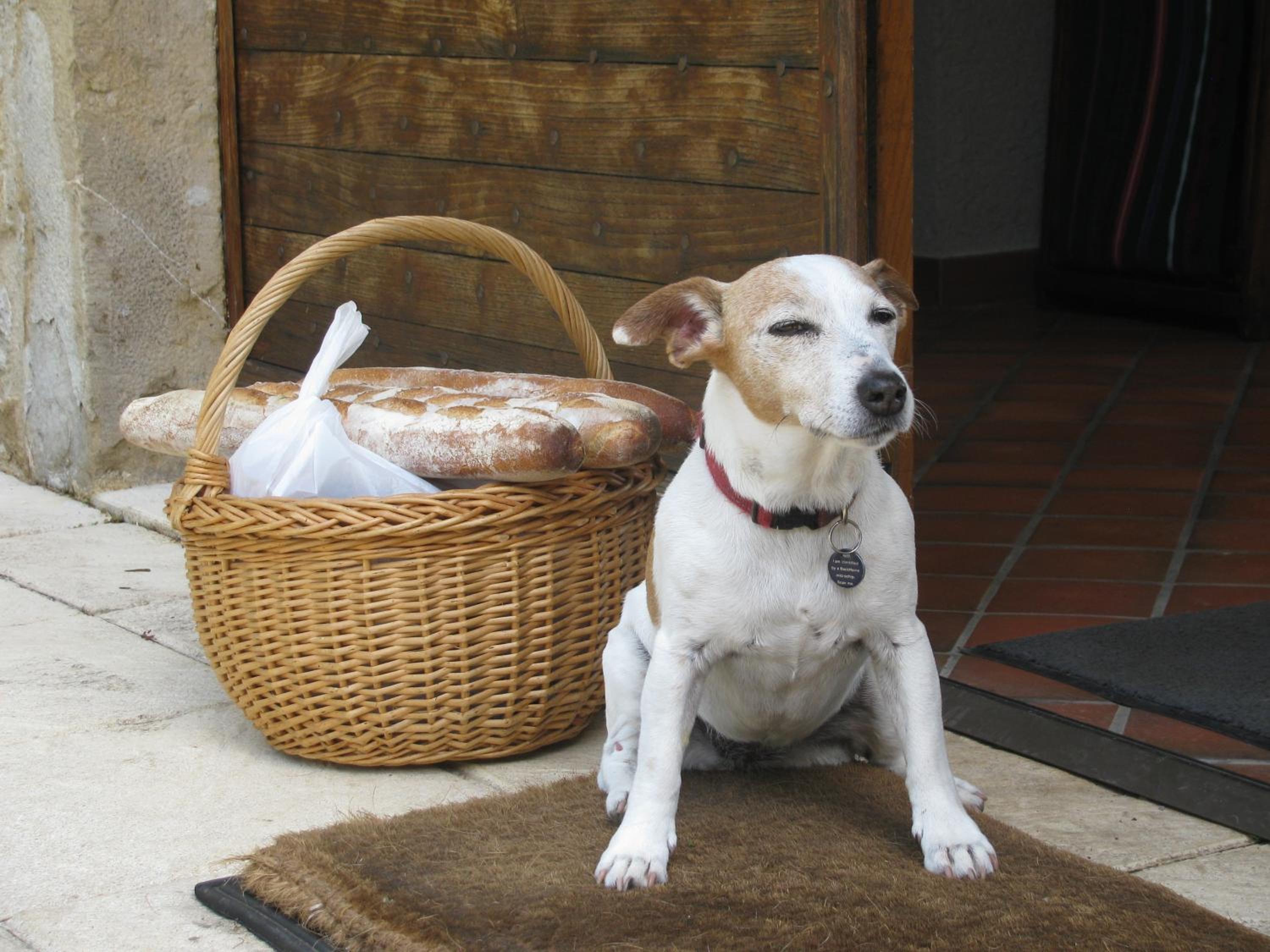 Photo 40