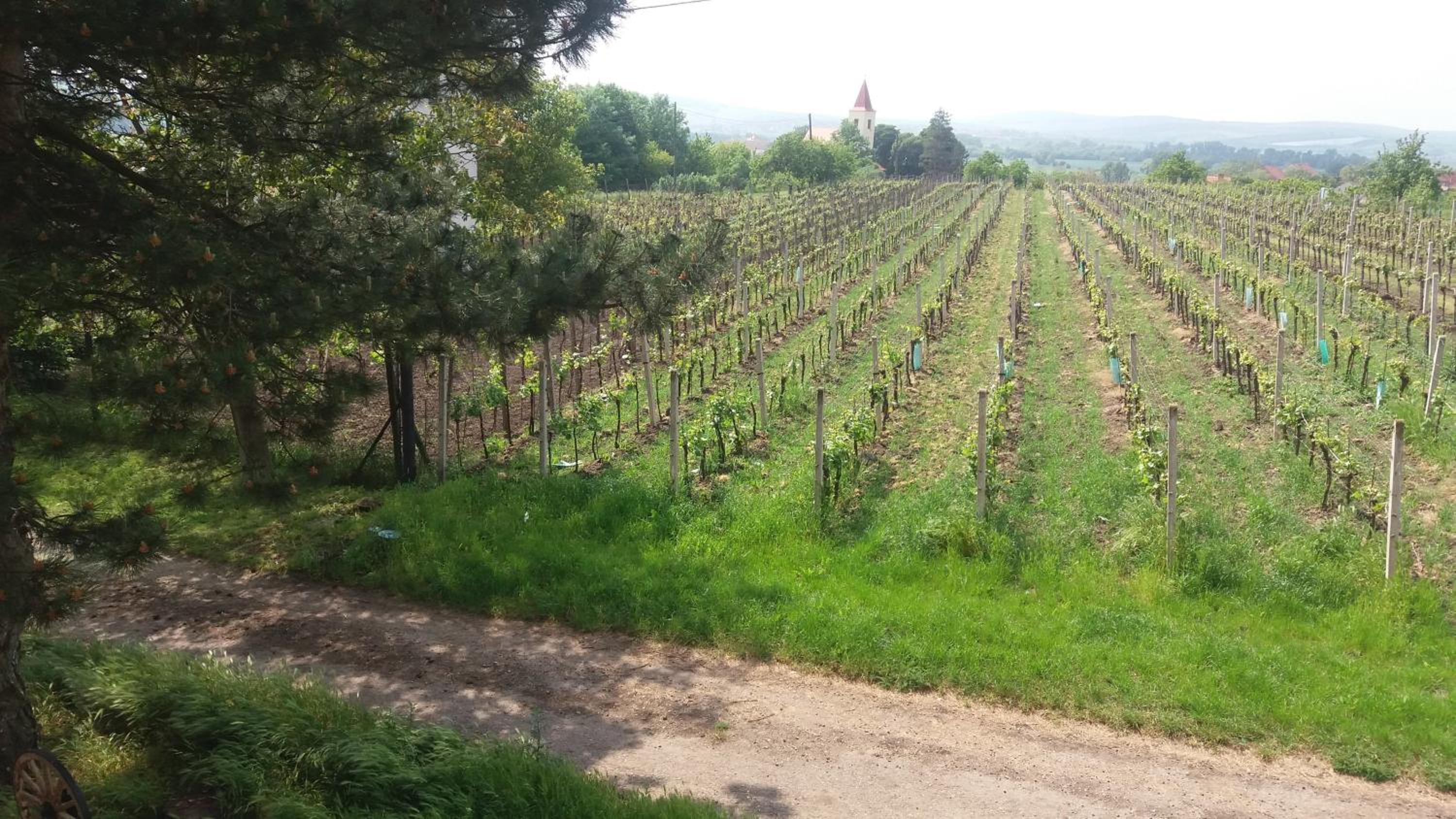 Penzion u Tomčalů