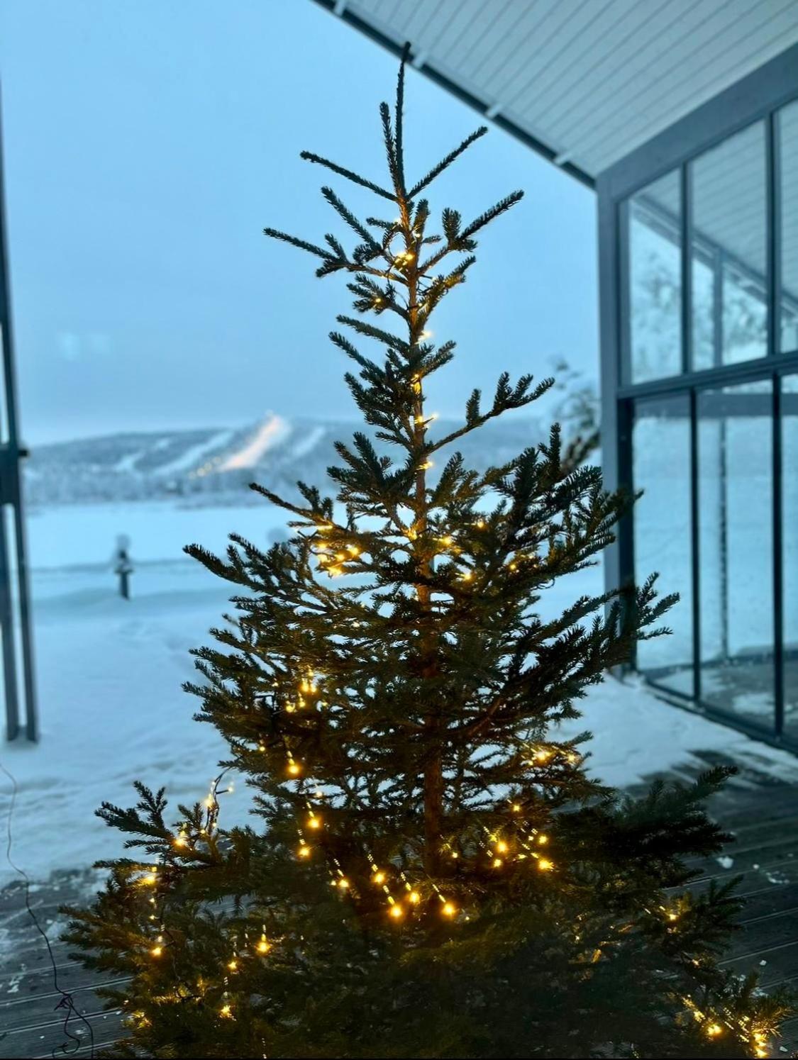 Aurora Arctic Riverside Villa