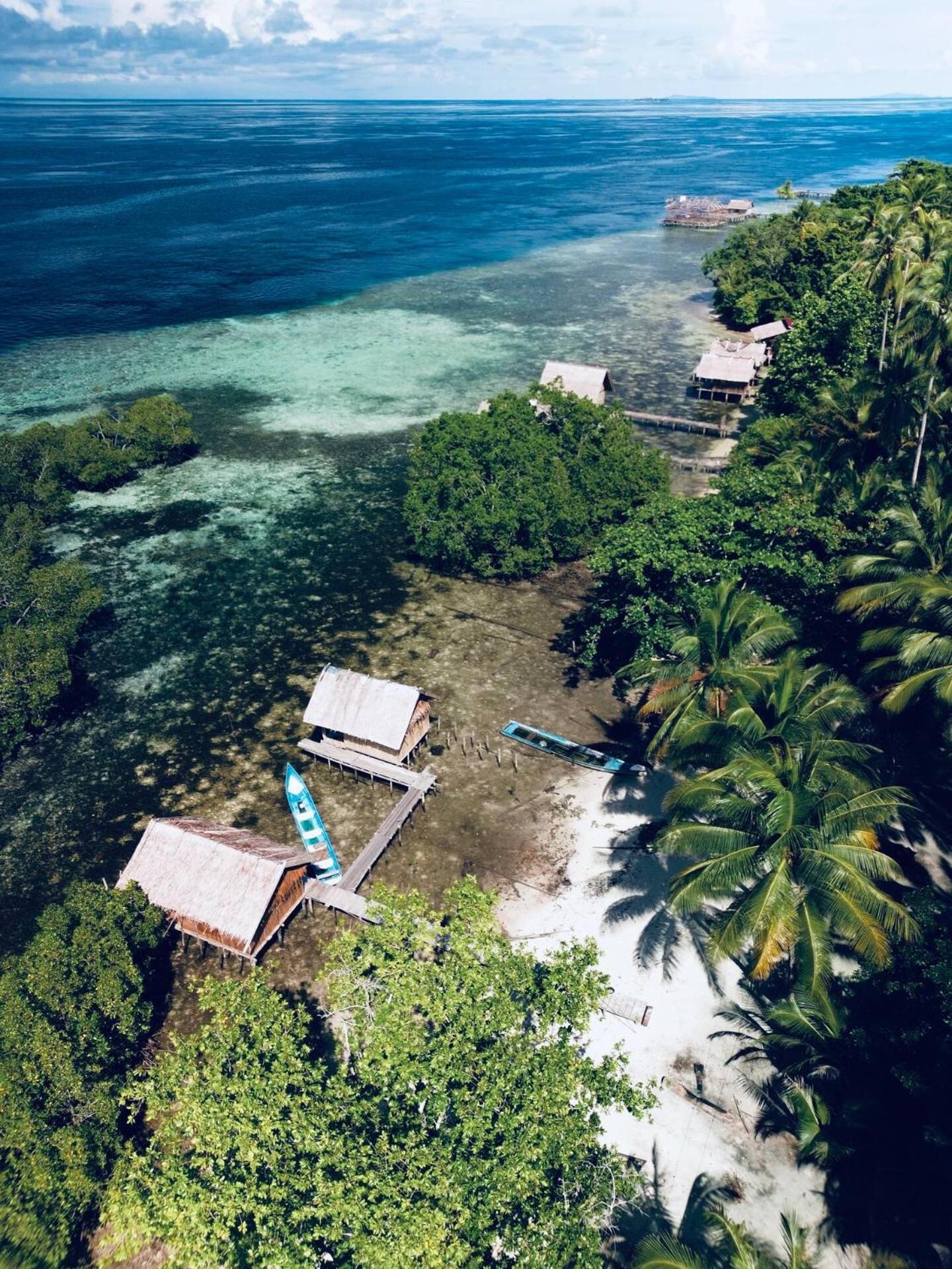 Walking Shark Guest House