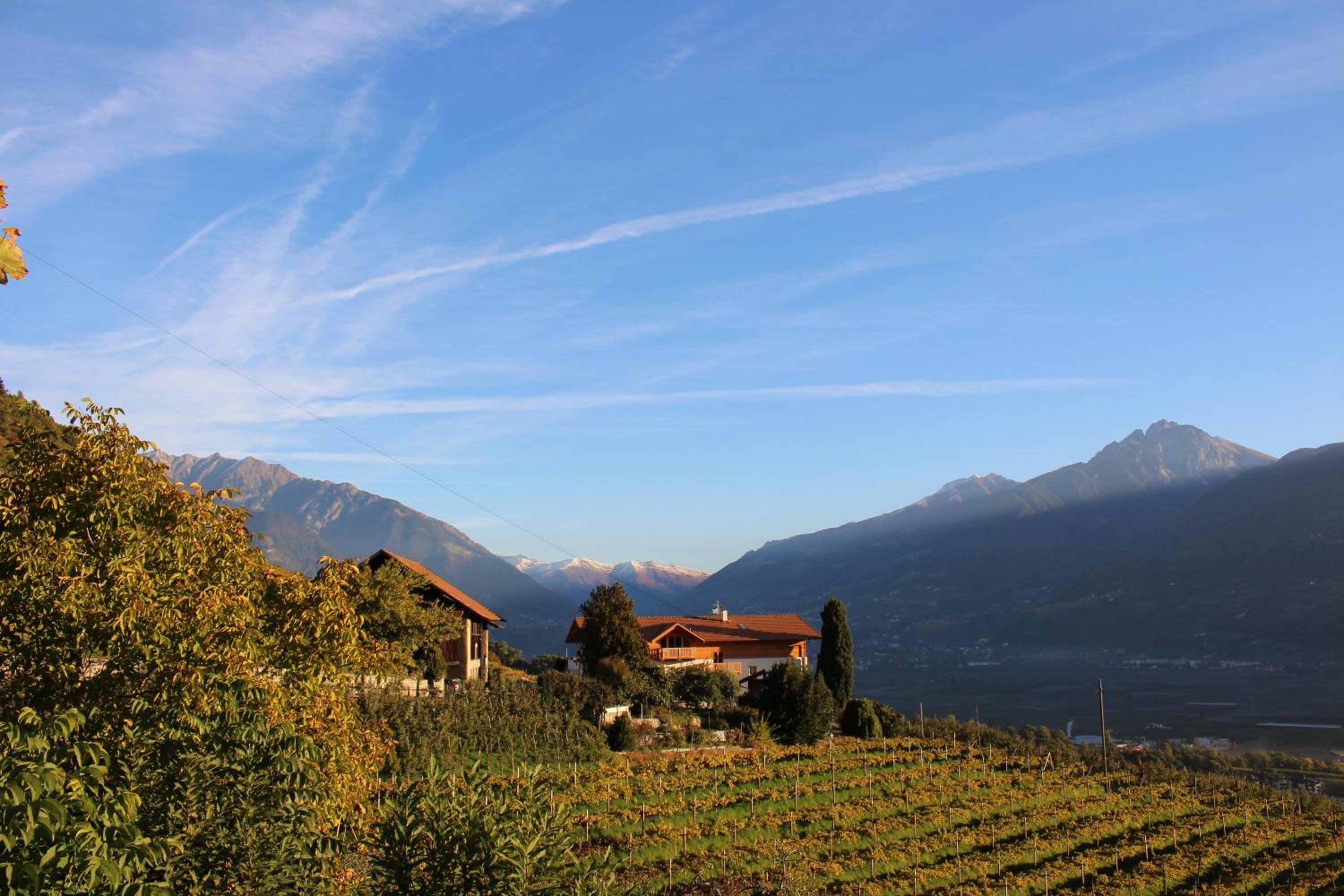 Greiterhof