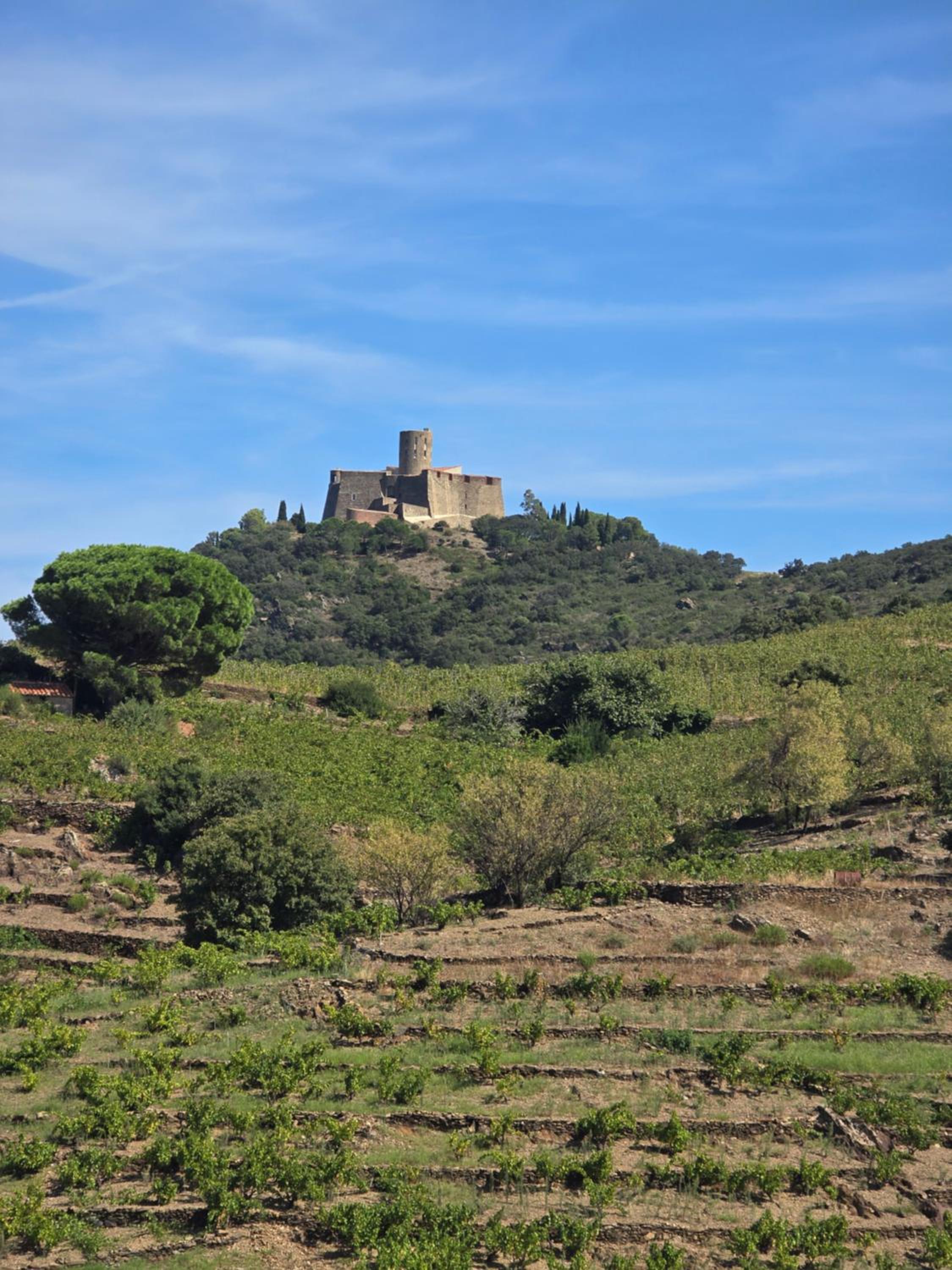 Appartement neuf et nouvelle top gestion, hyper calme, vue superbe mer et nature
