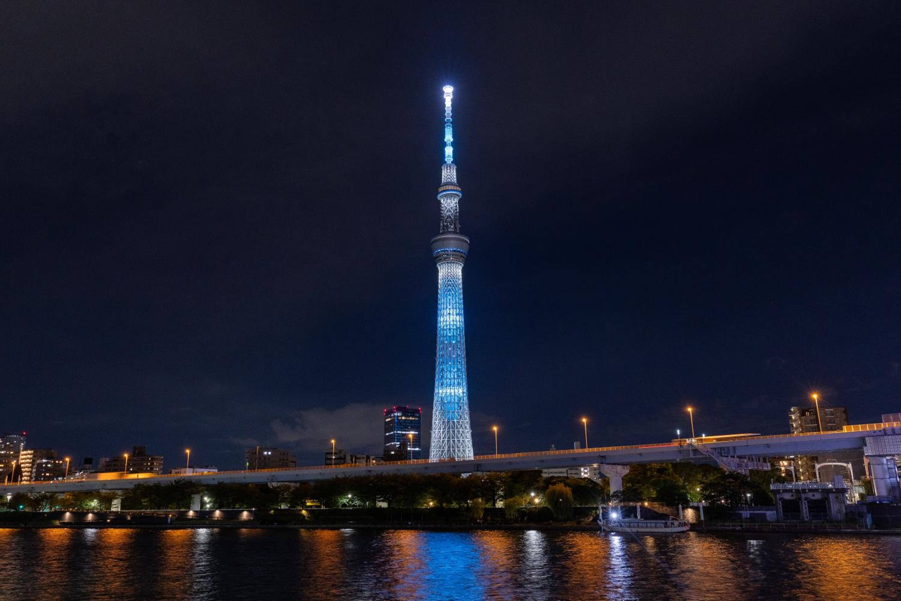 Skytree View Rooftop Villa Asakusa SVRVA