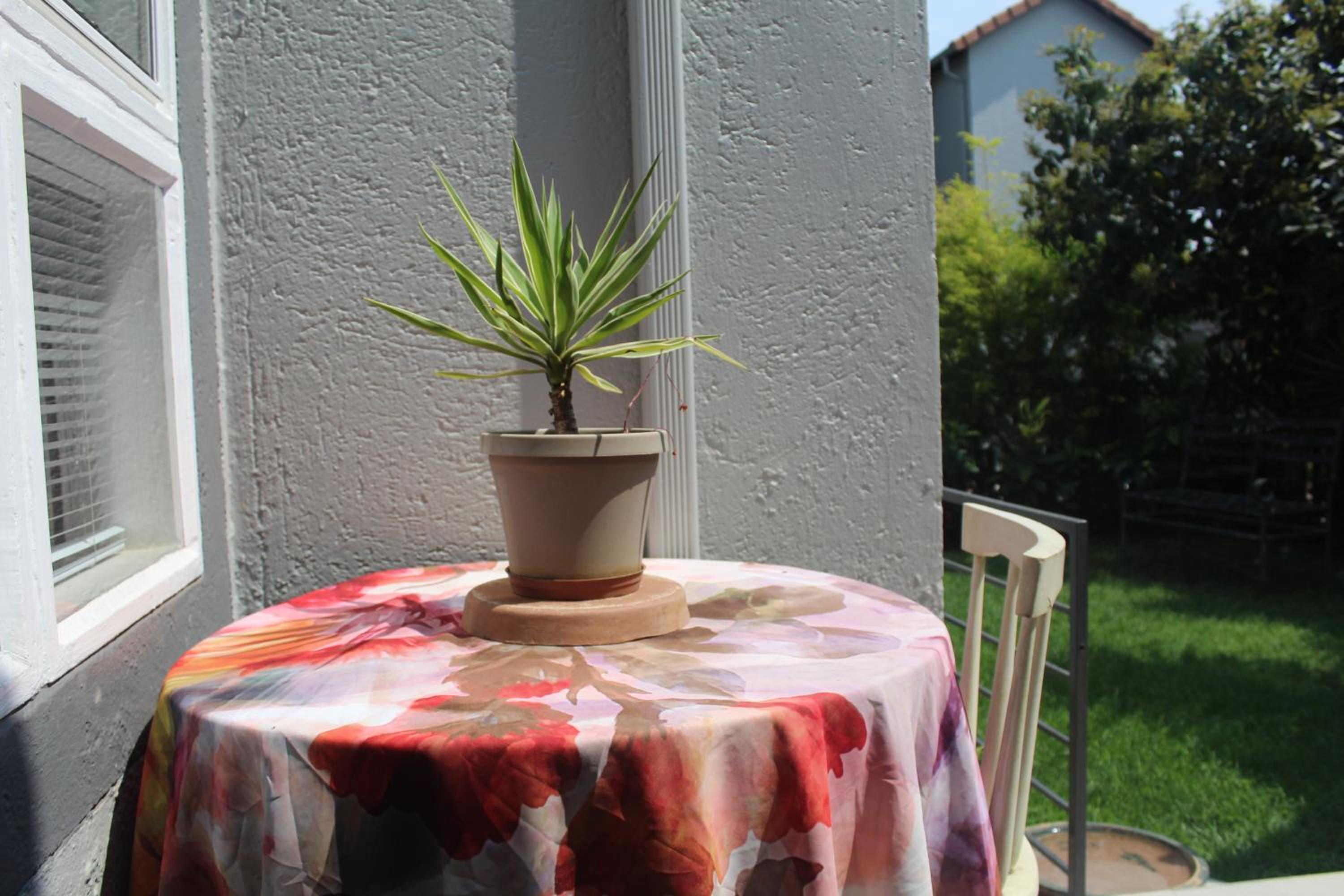 Luxury Garden Retreat 2B Sandton