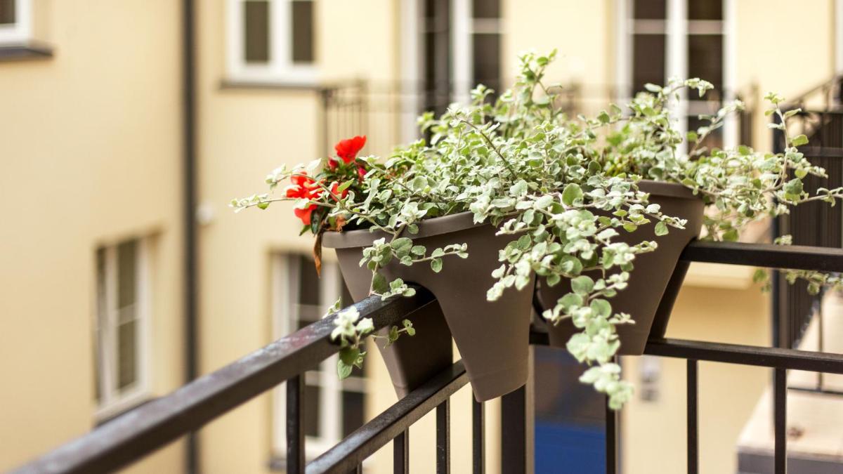 Vilnius Private Stay
