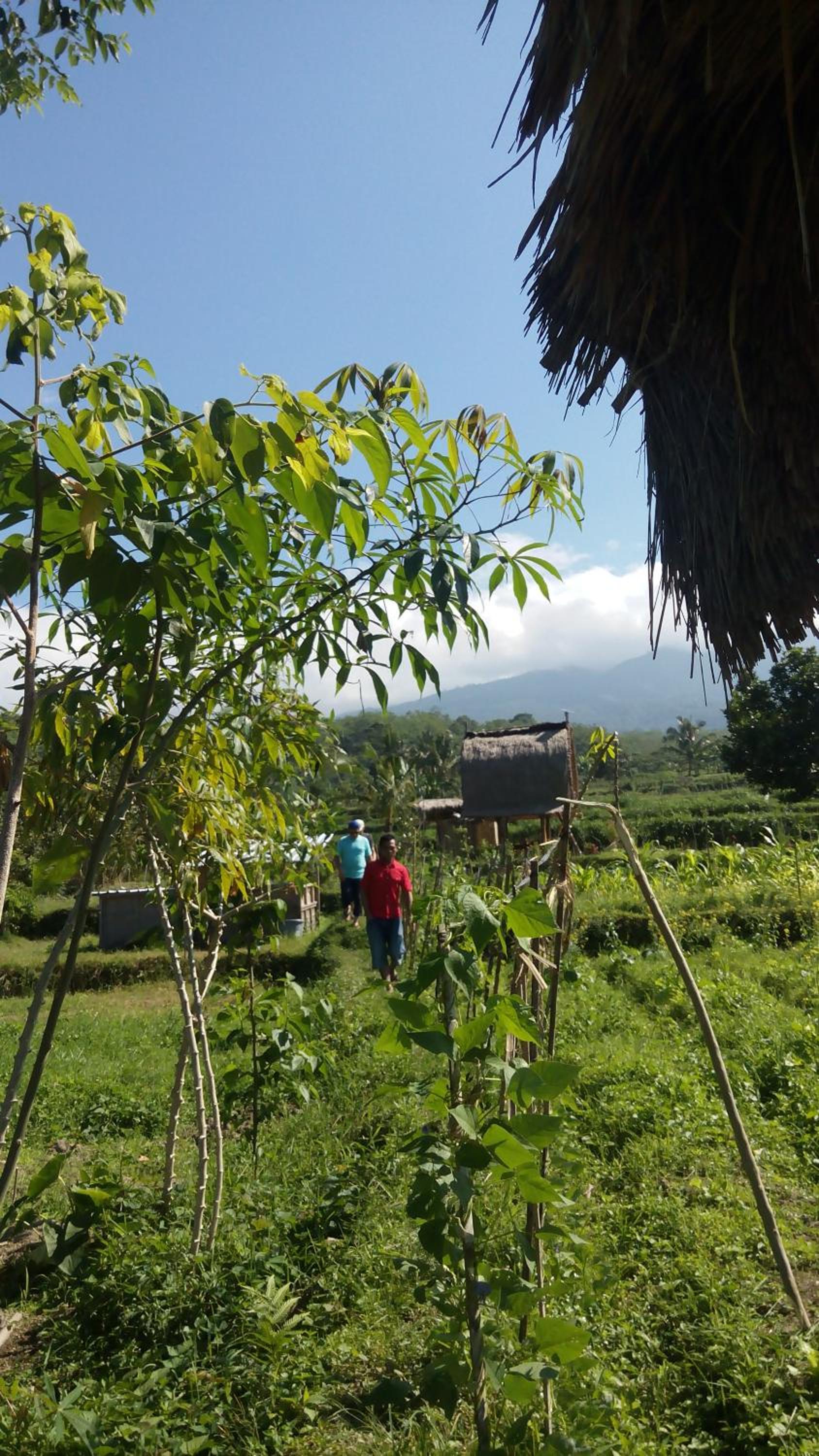 Tetebatu Indah Homestay