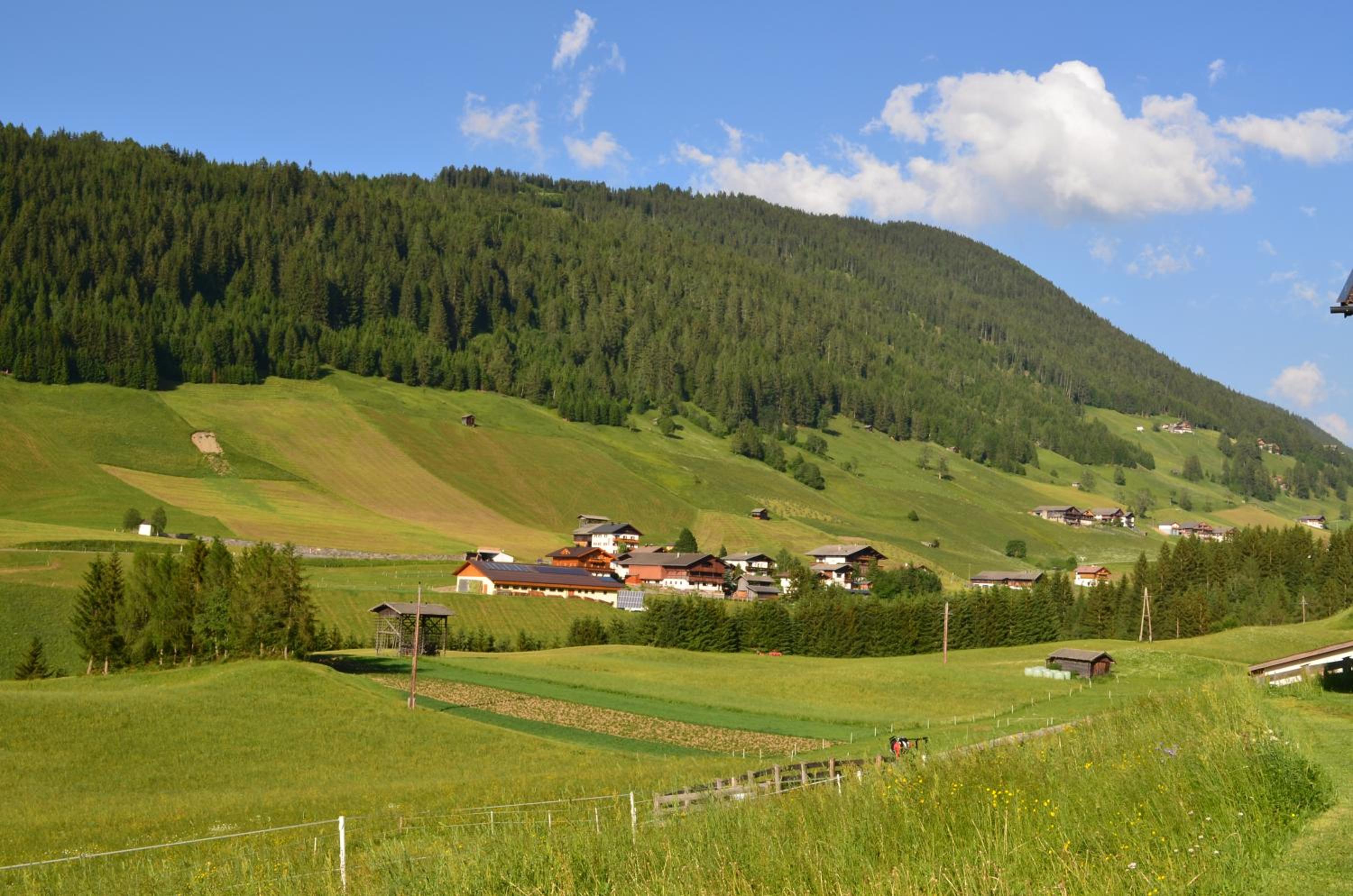 Haus Rosa