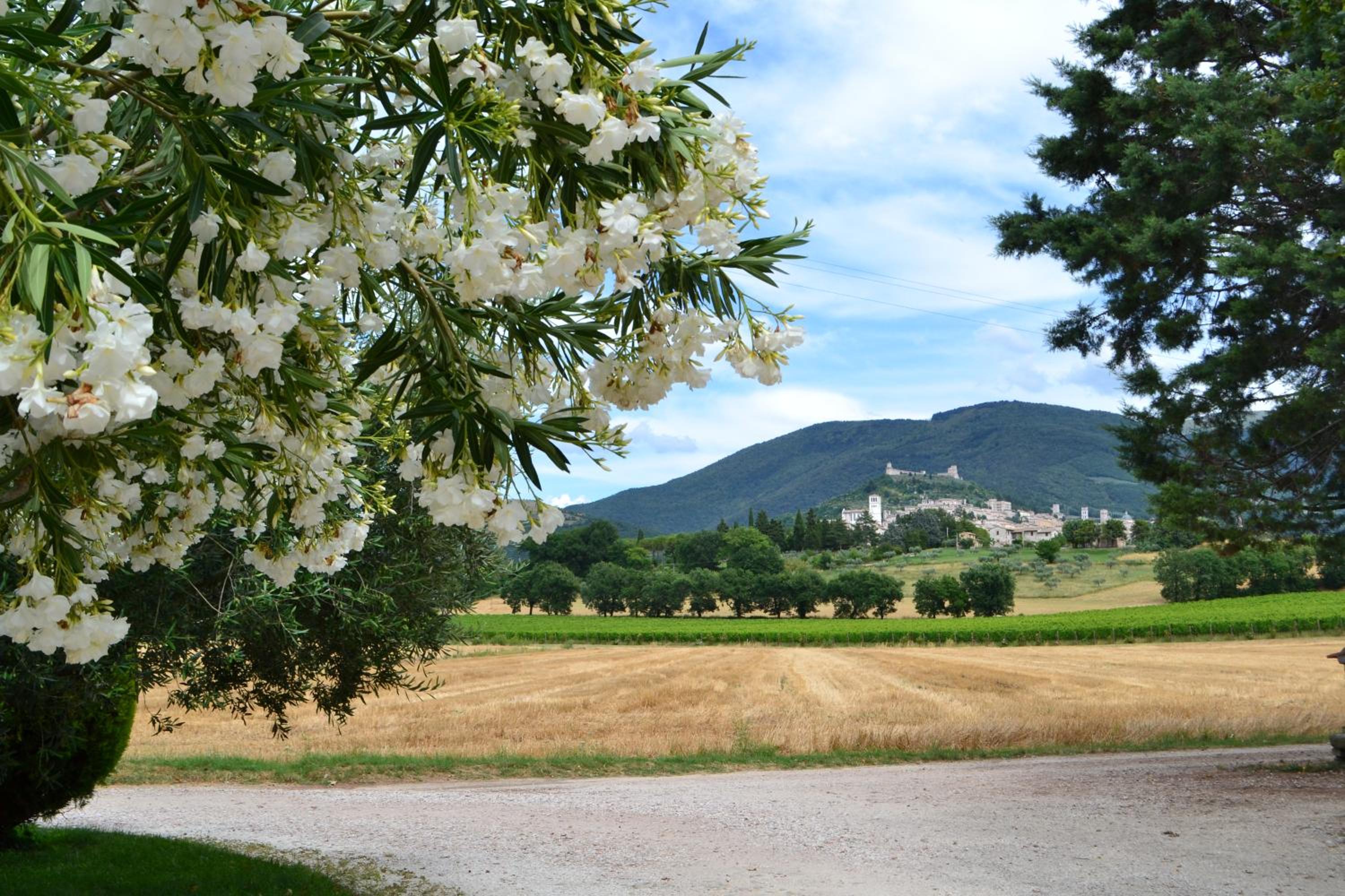 Camere I Monelli view 4