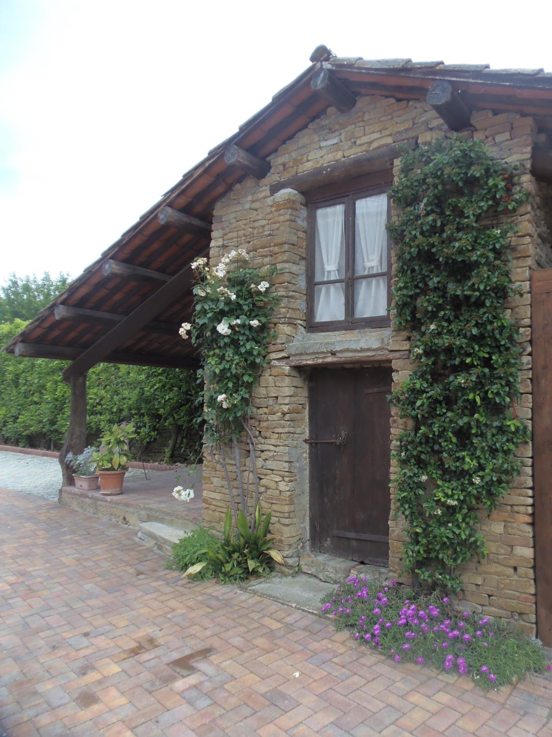 Photo 15