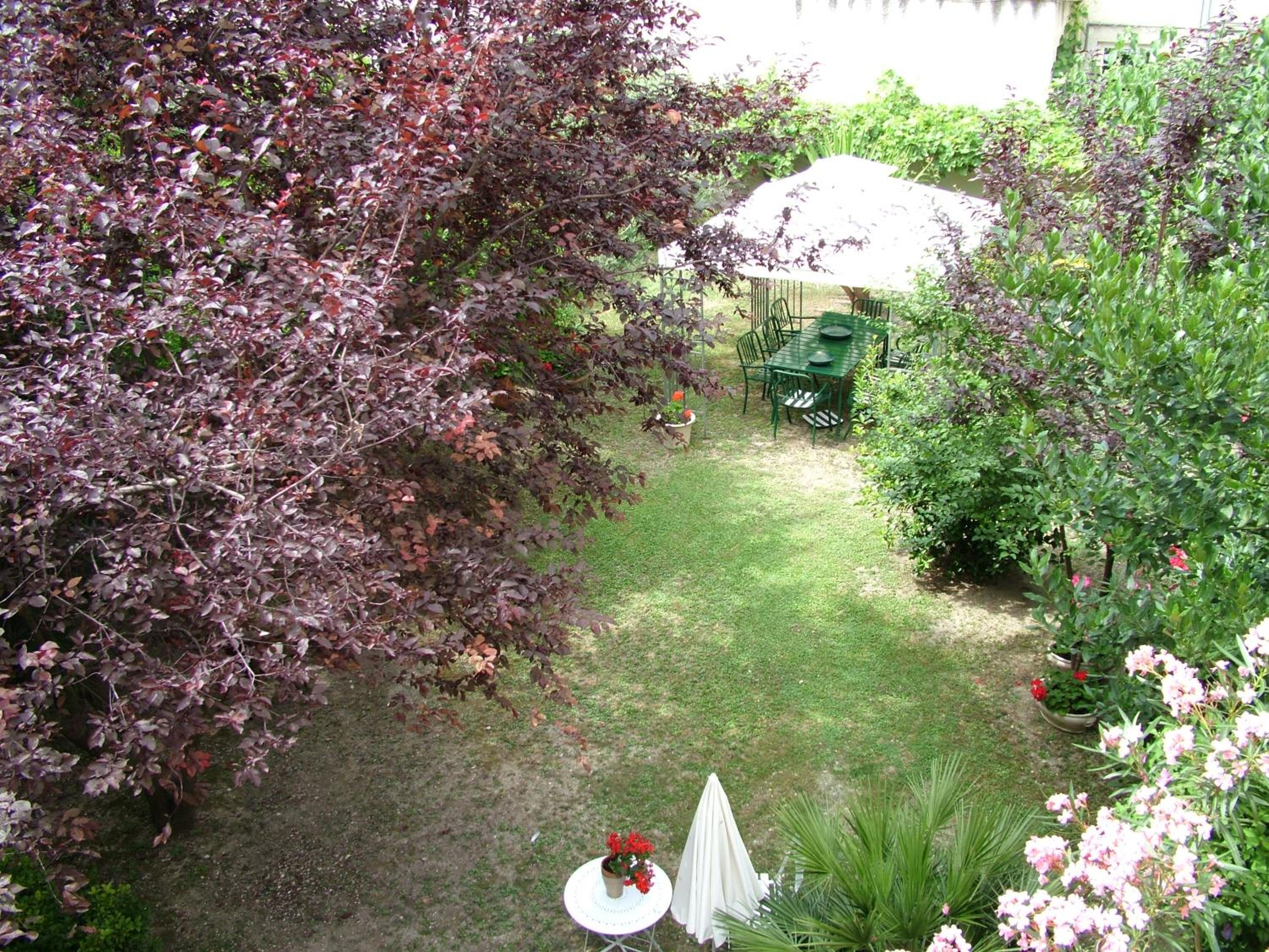 Photo 23