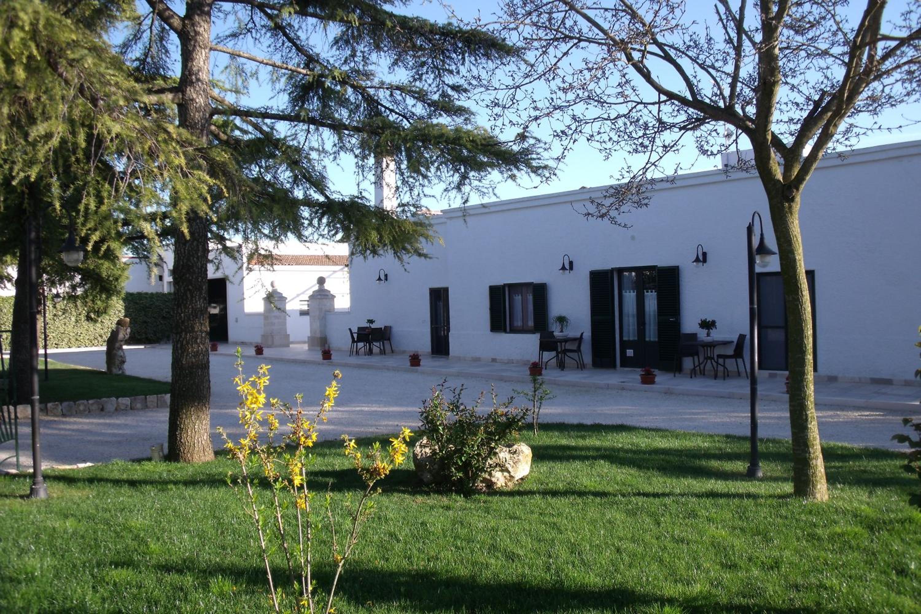 Photo 21