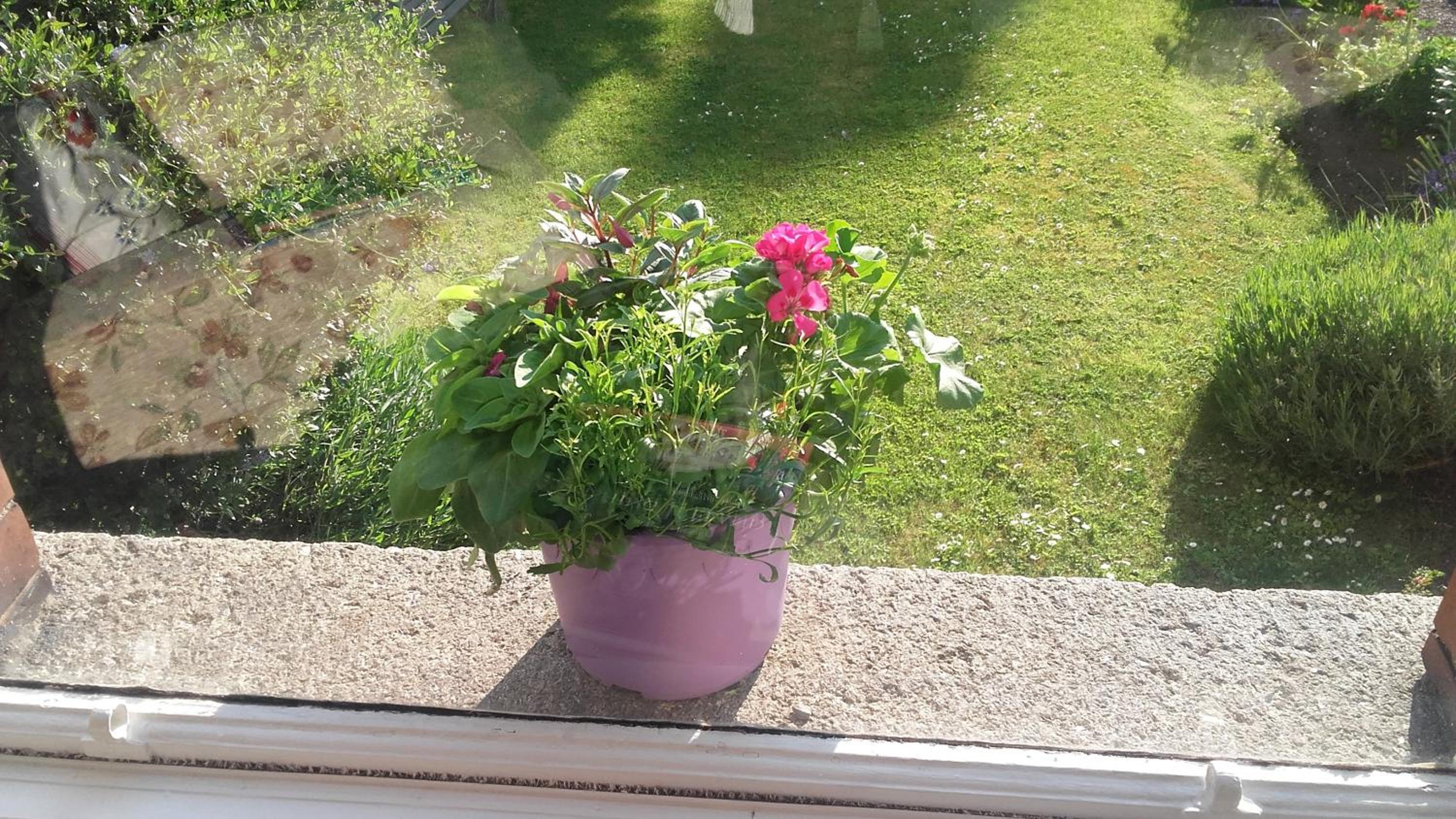 Photo 26