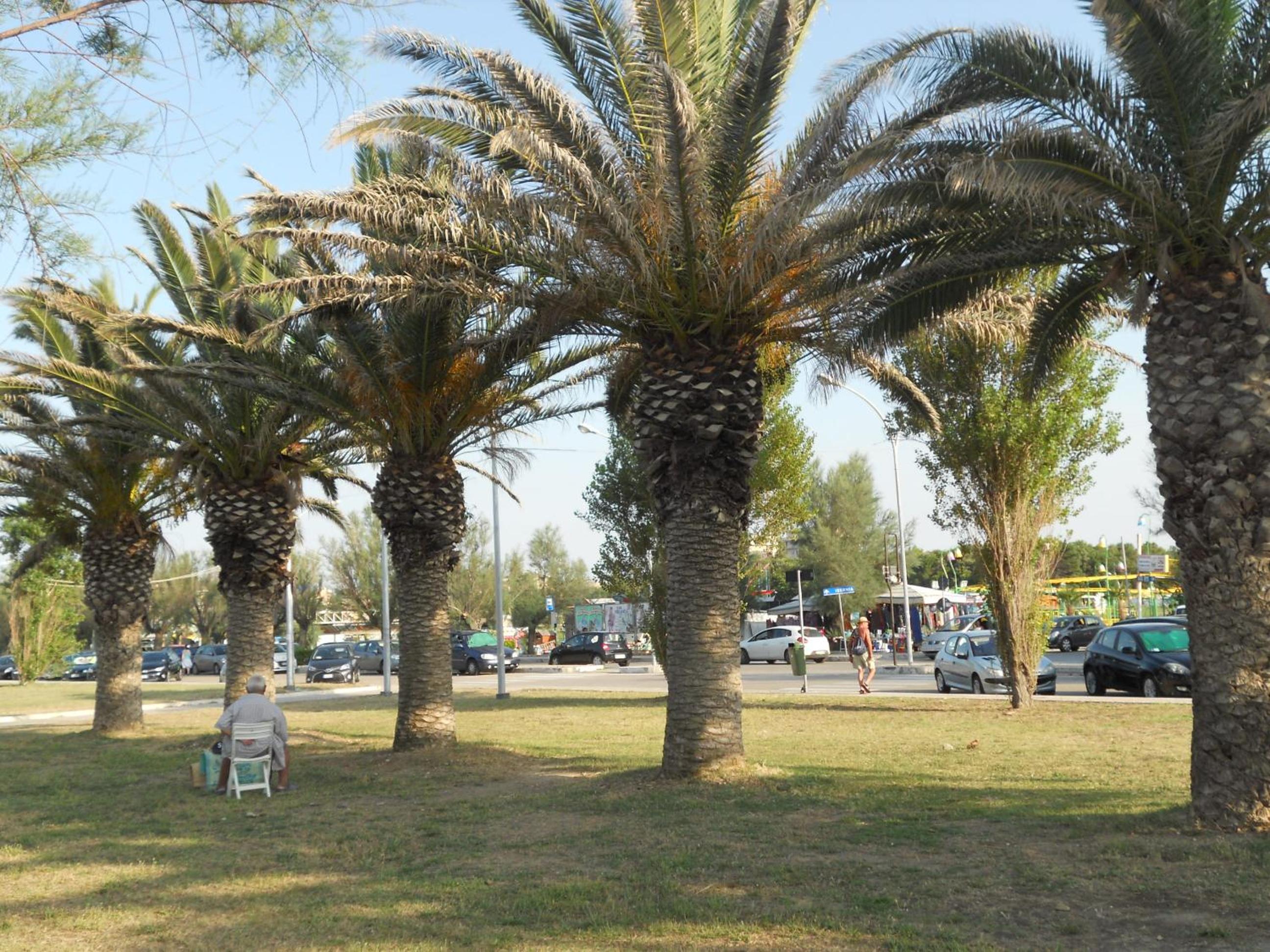 Photo 17