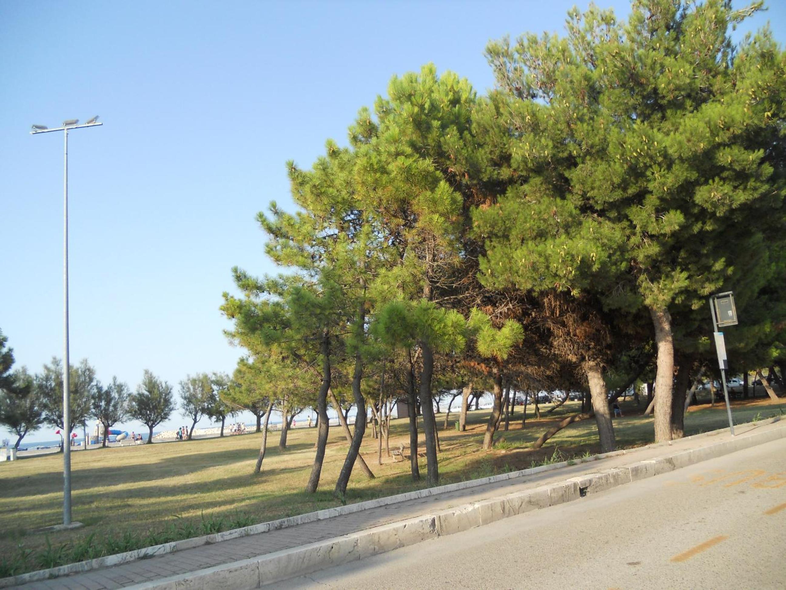 Photo 22