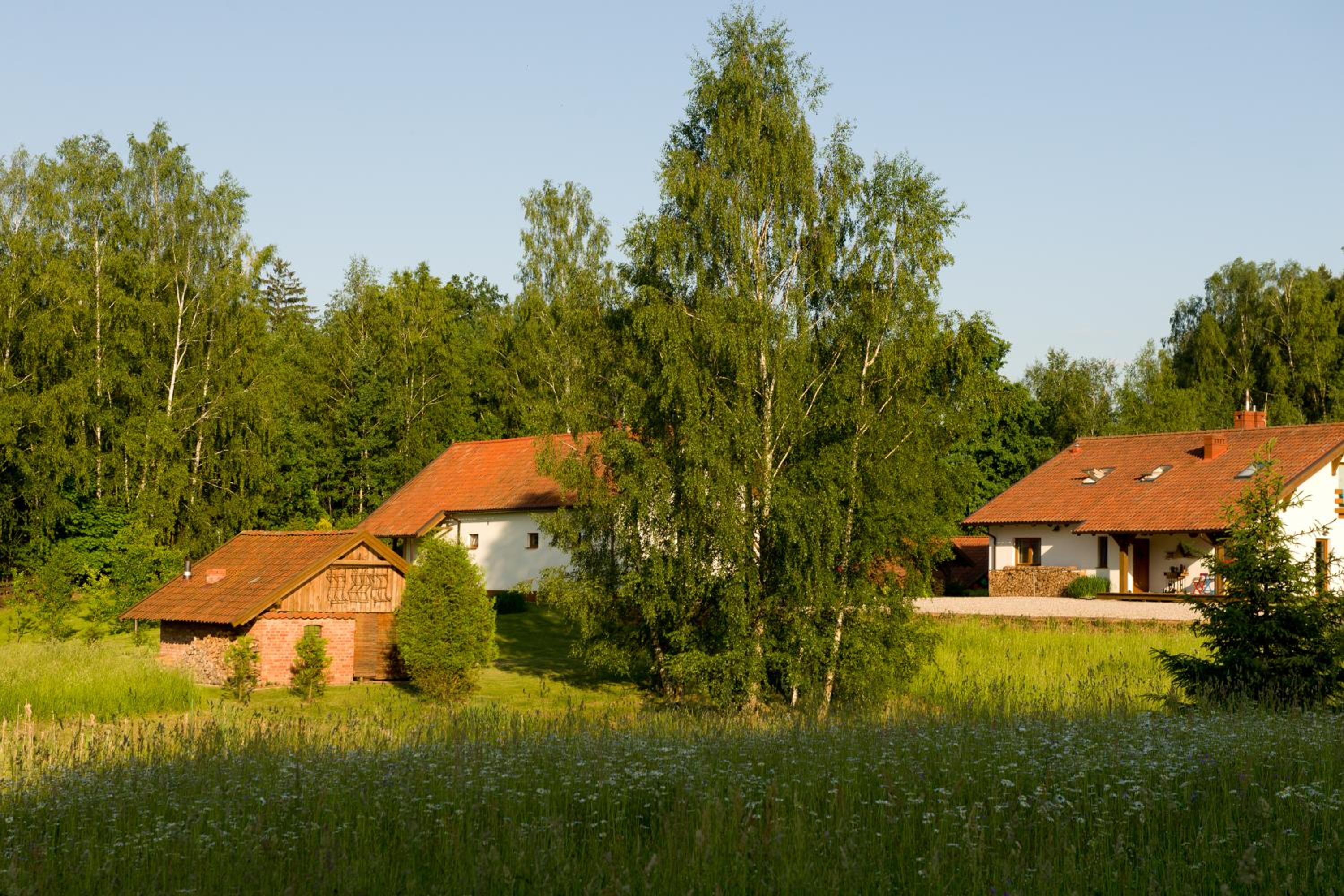 Siedlisko Grabinowo k/Olsztyna