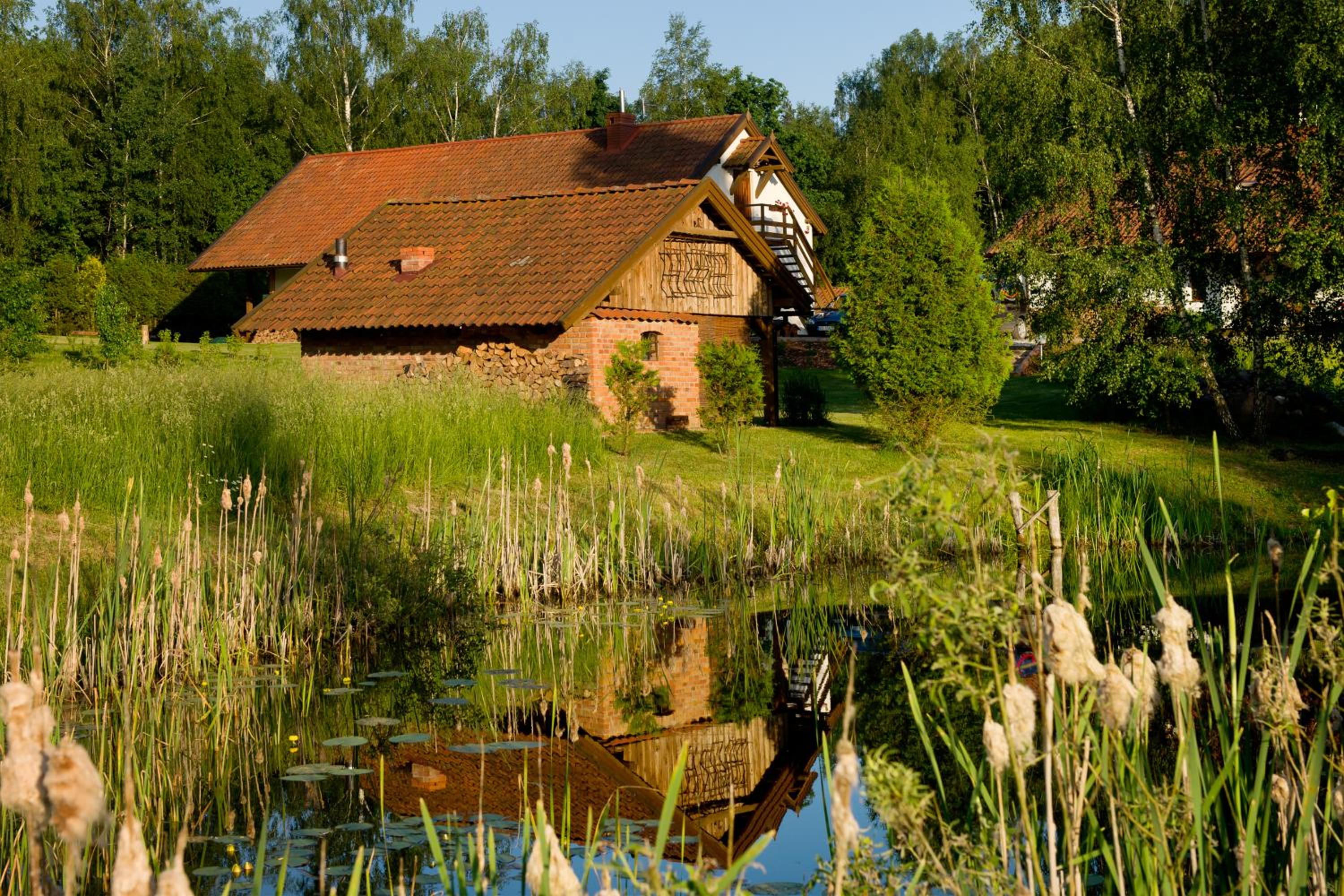 Siedlisko Grabinowo k/Olsztyna