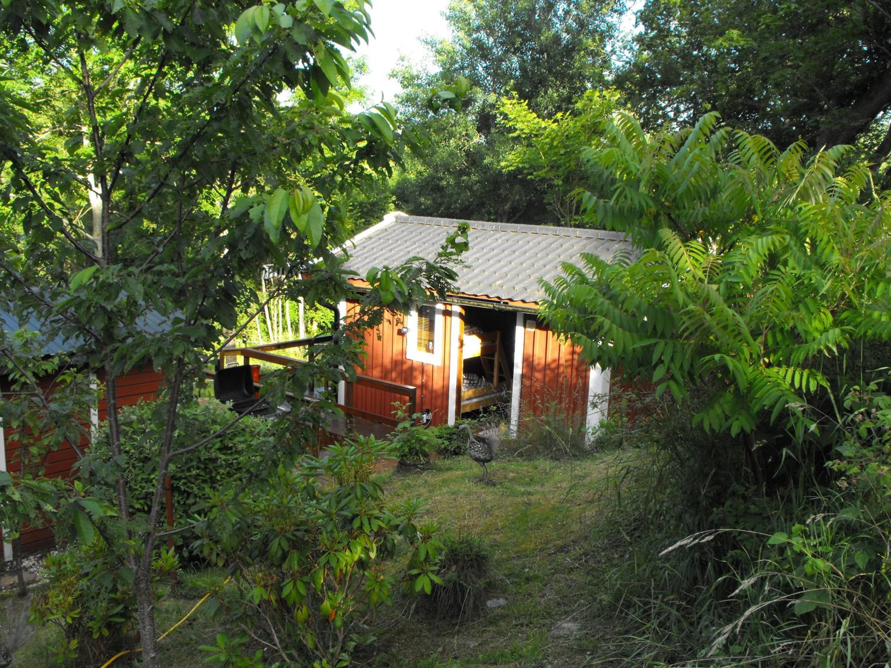 Photo 21