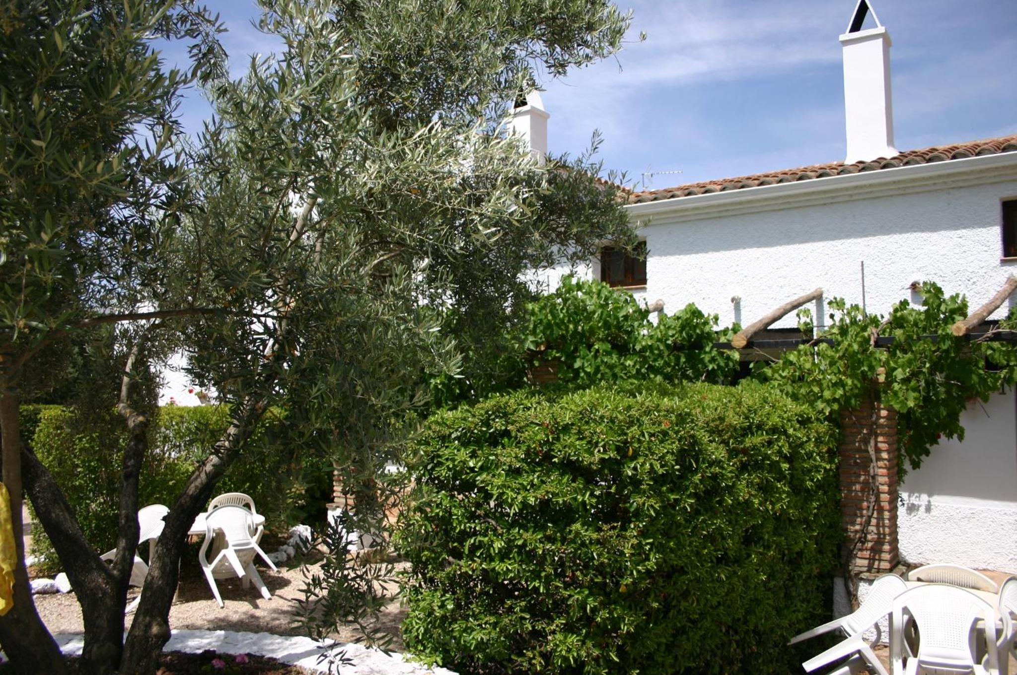 Photo 41
