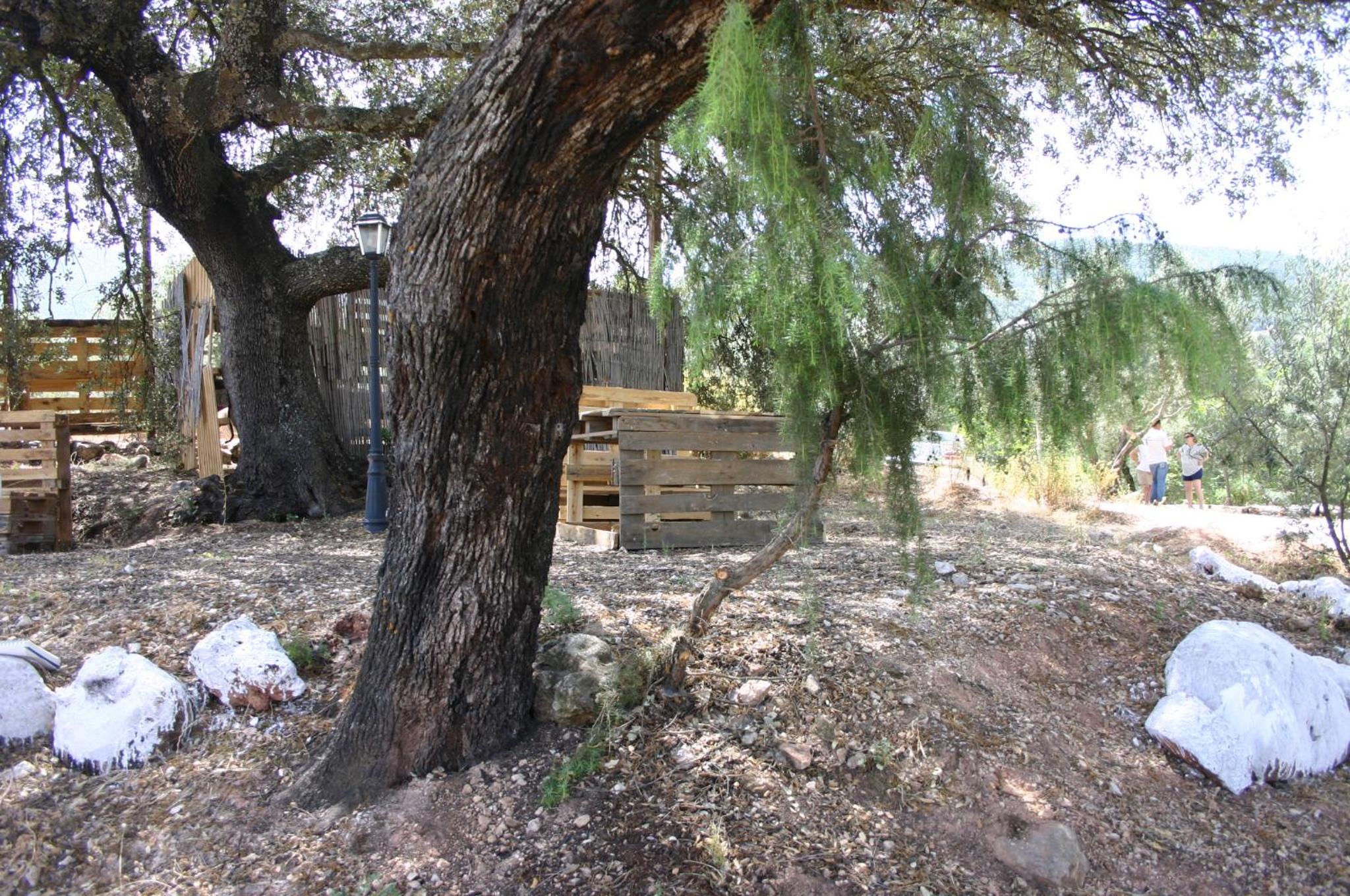 Photo 42