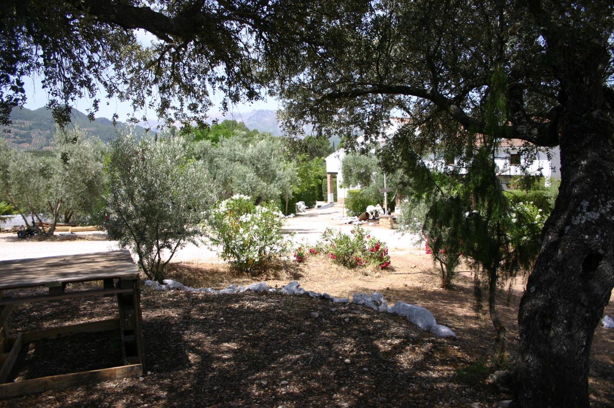 Photo 43