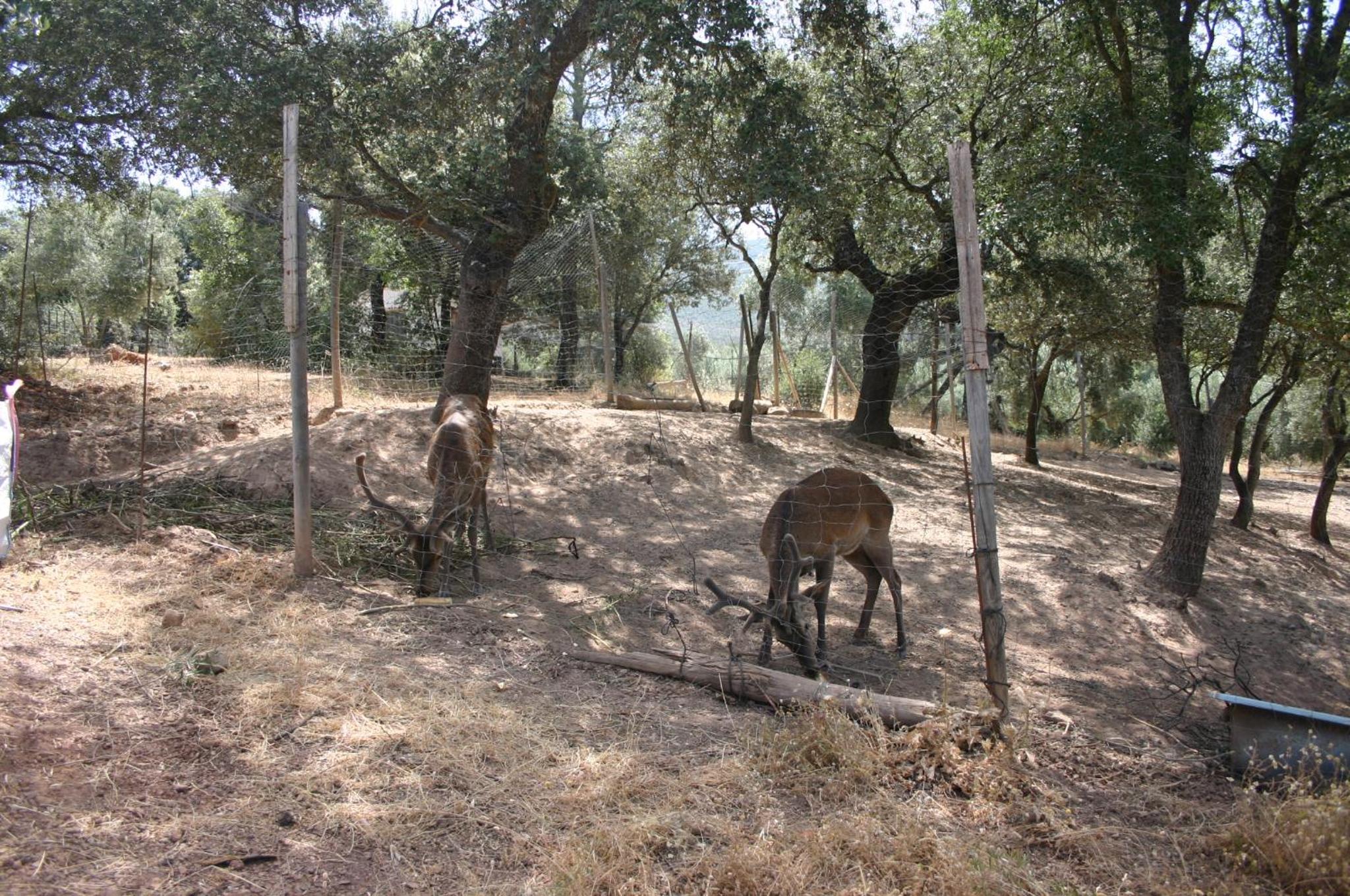Photo 46