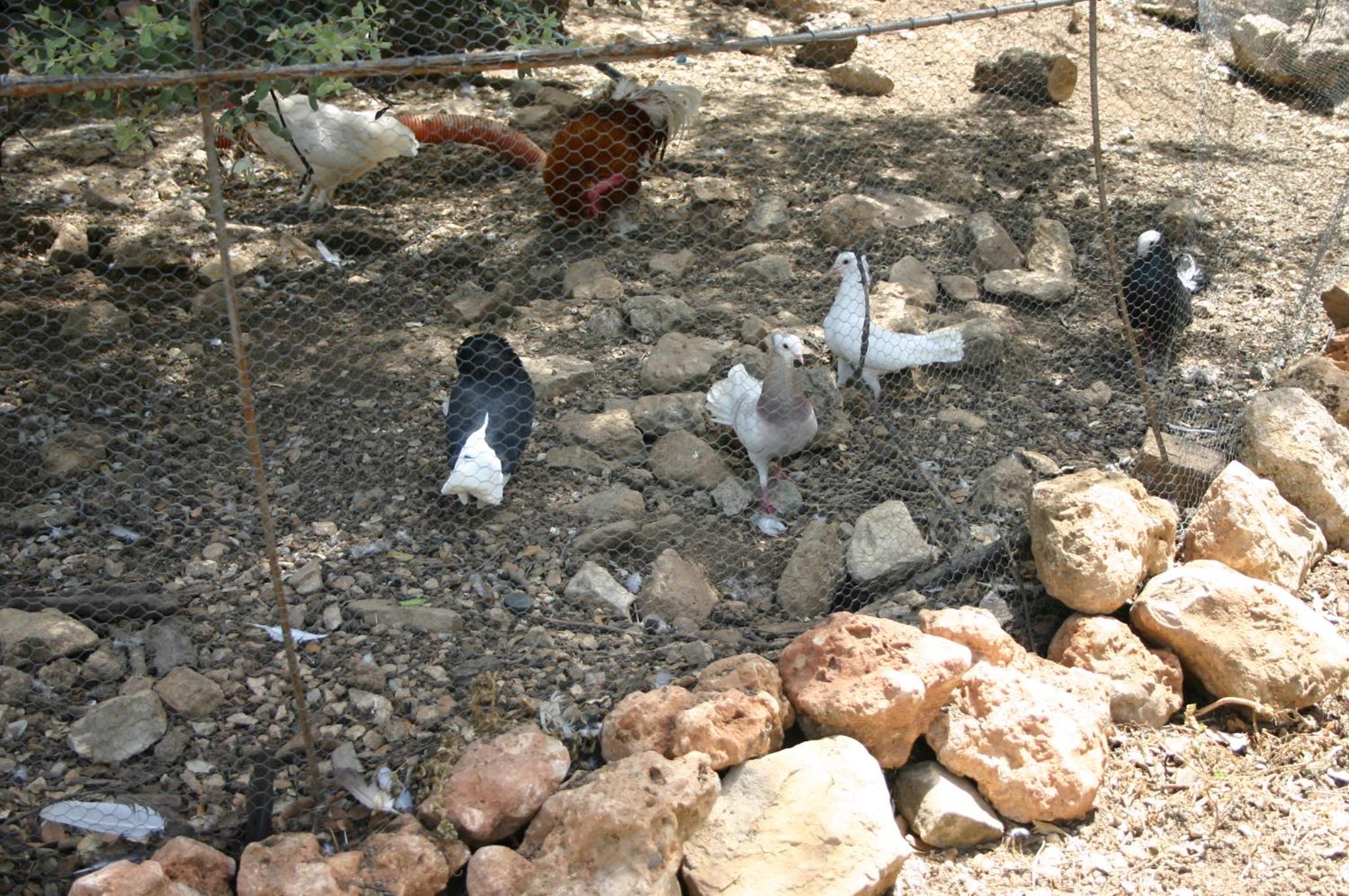 Photo 47