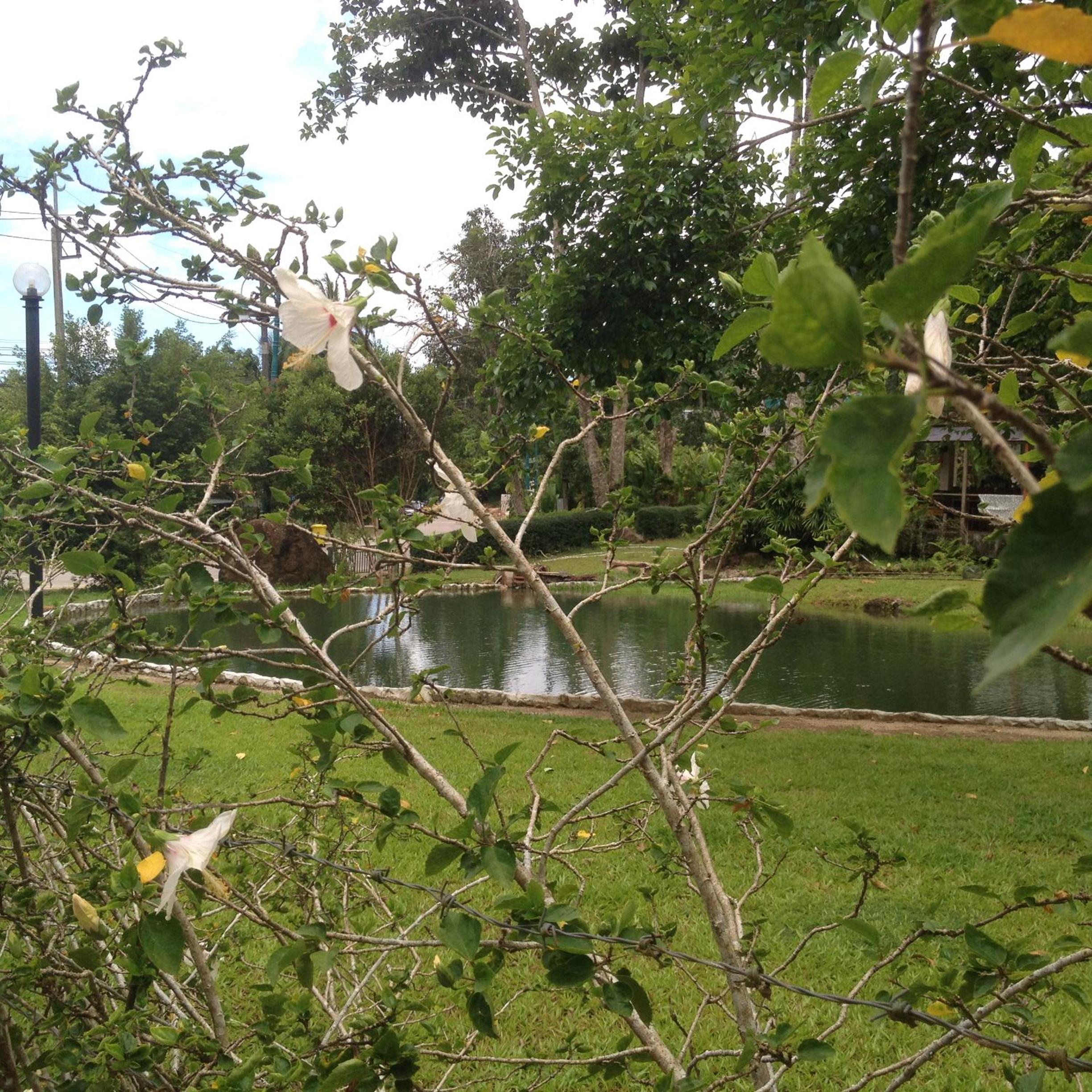 Photo 14