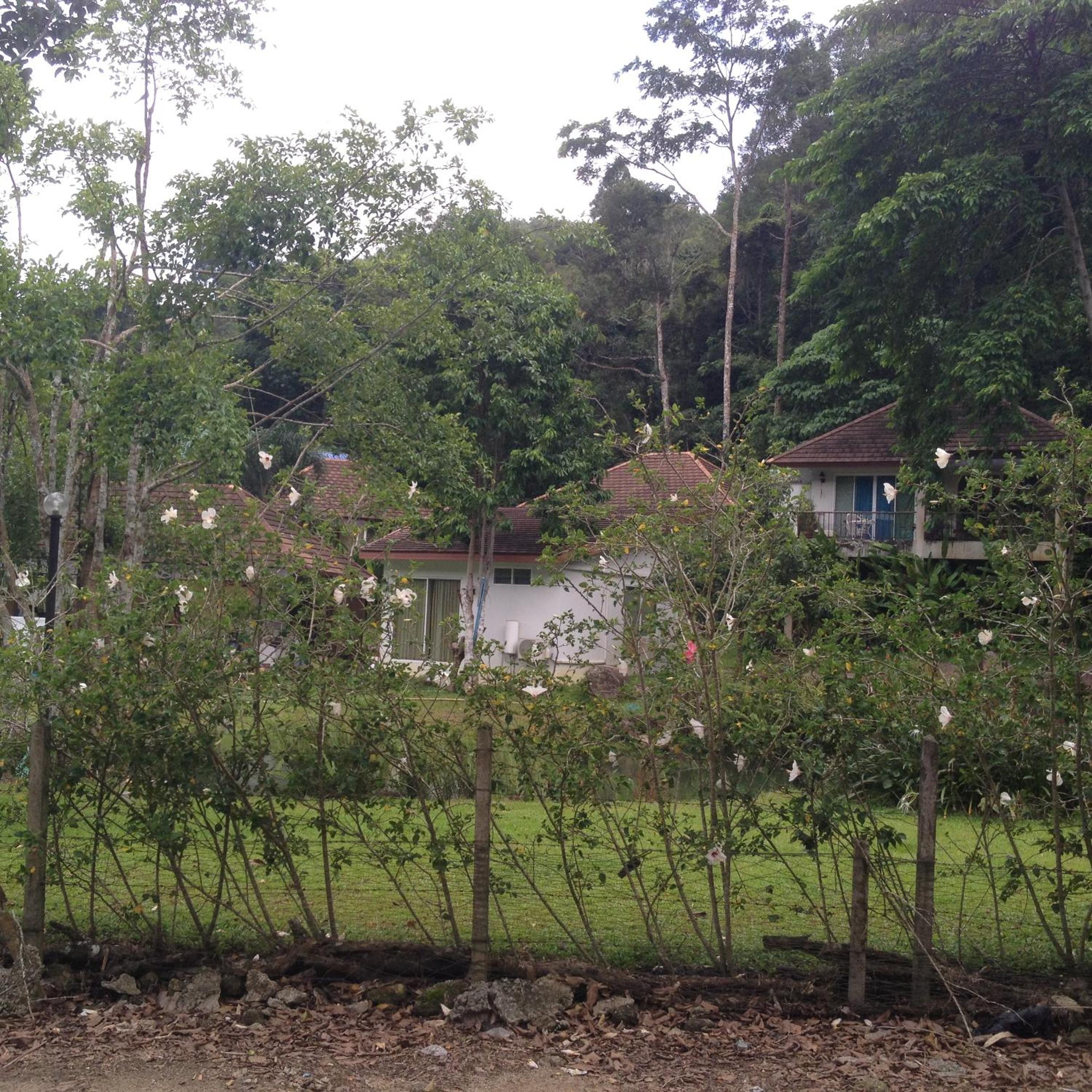 Photo 13