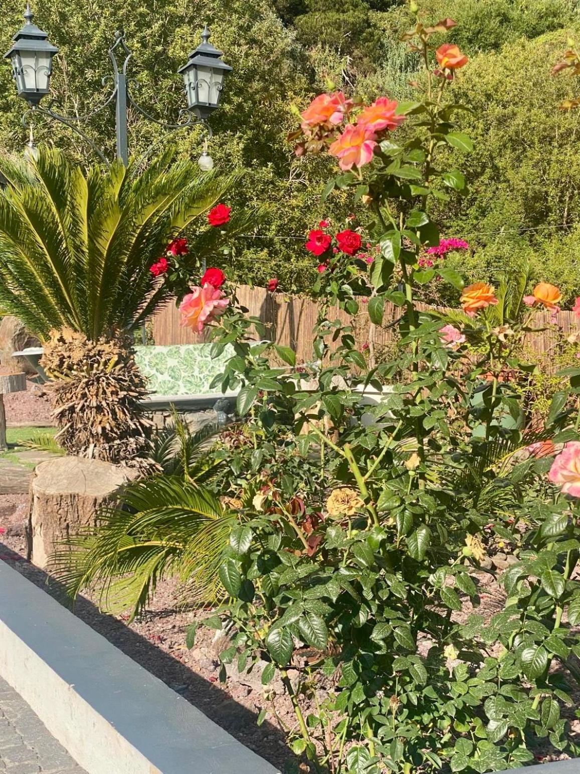 Madeira Protea Retreat- Villa with Heated Private Pool, Gym and Office