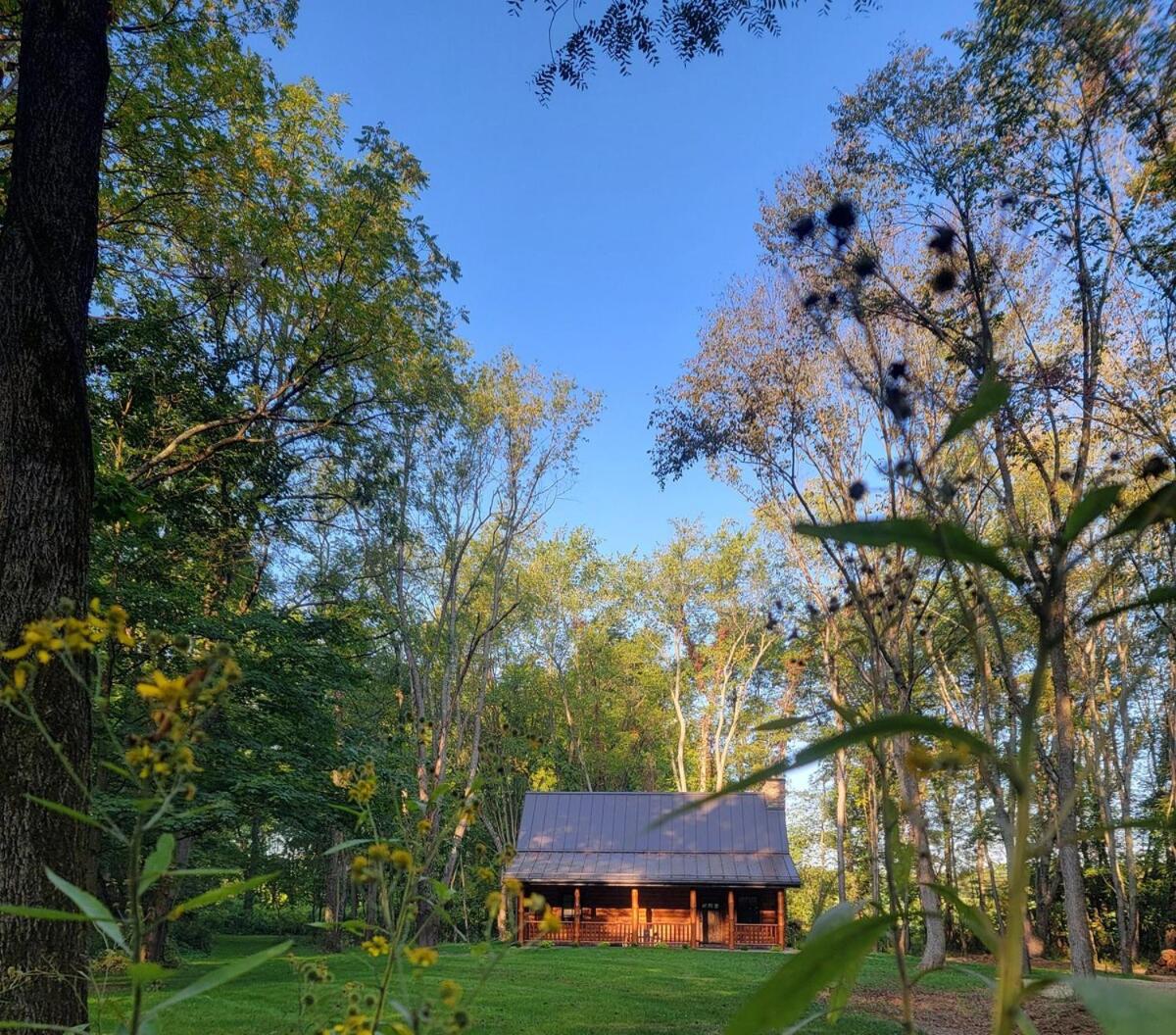 WildWood Cabin