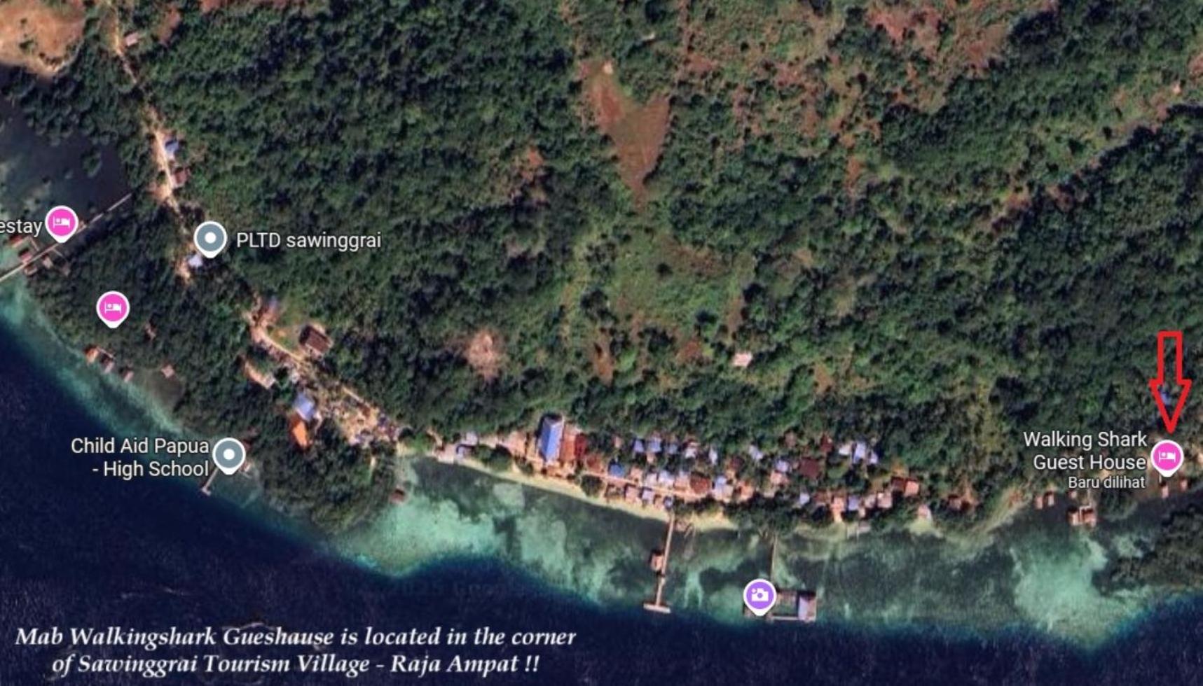 Walking Shark Guest House
