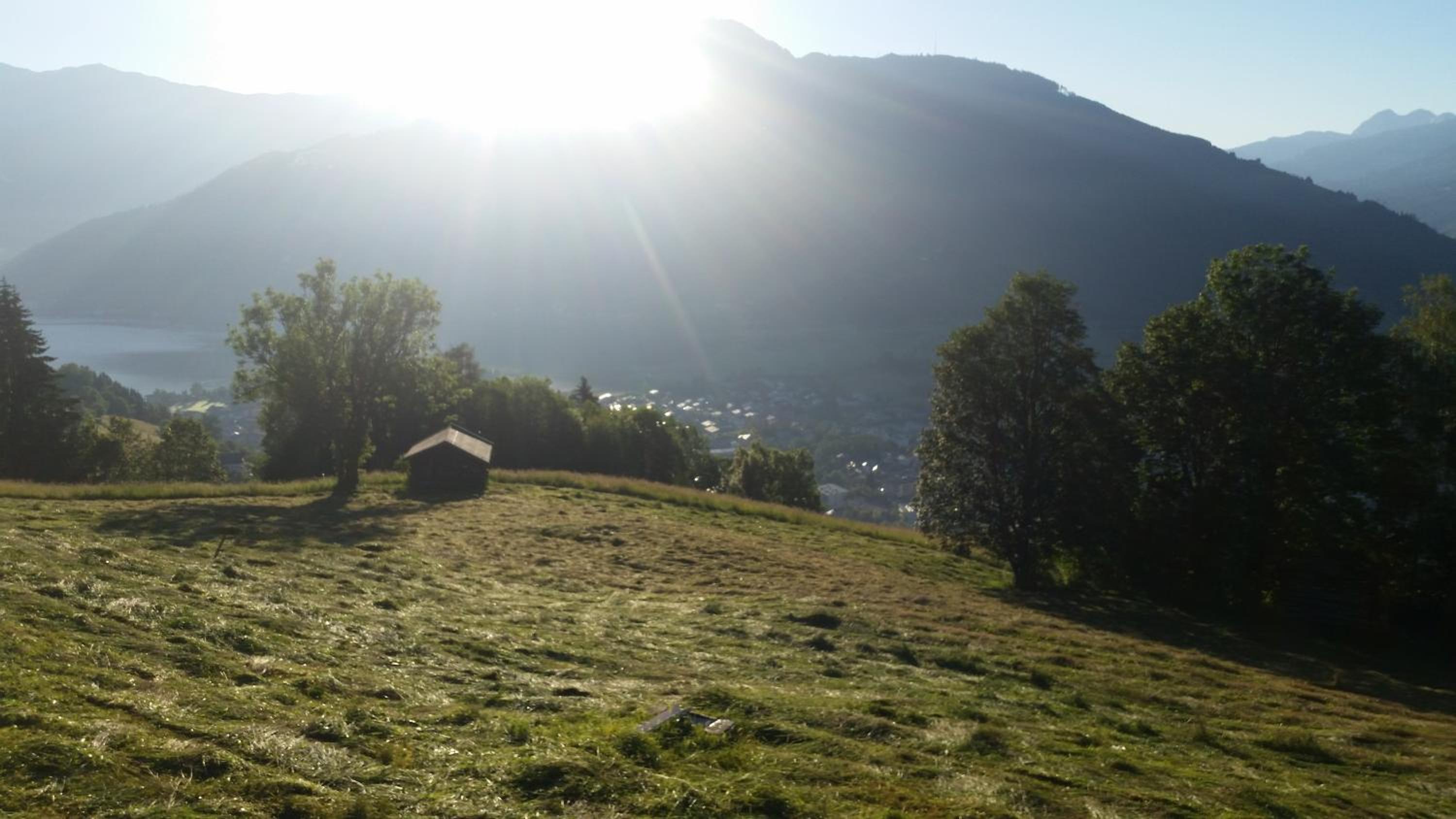 Photo 21