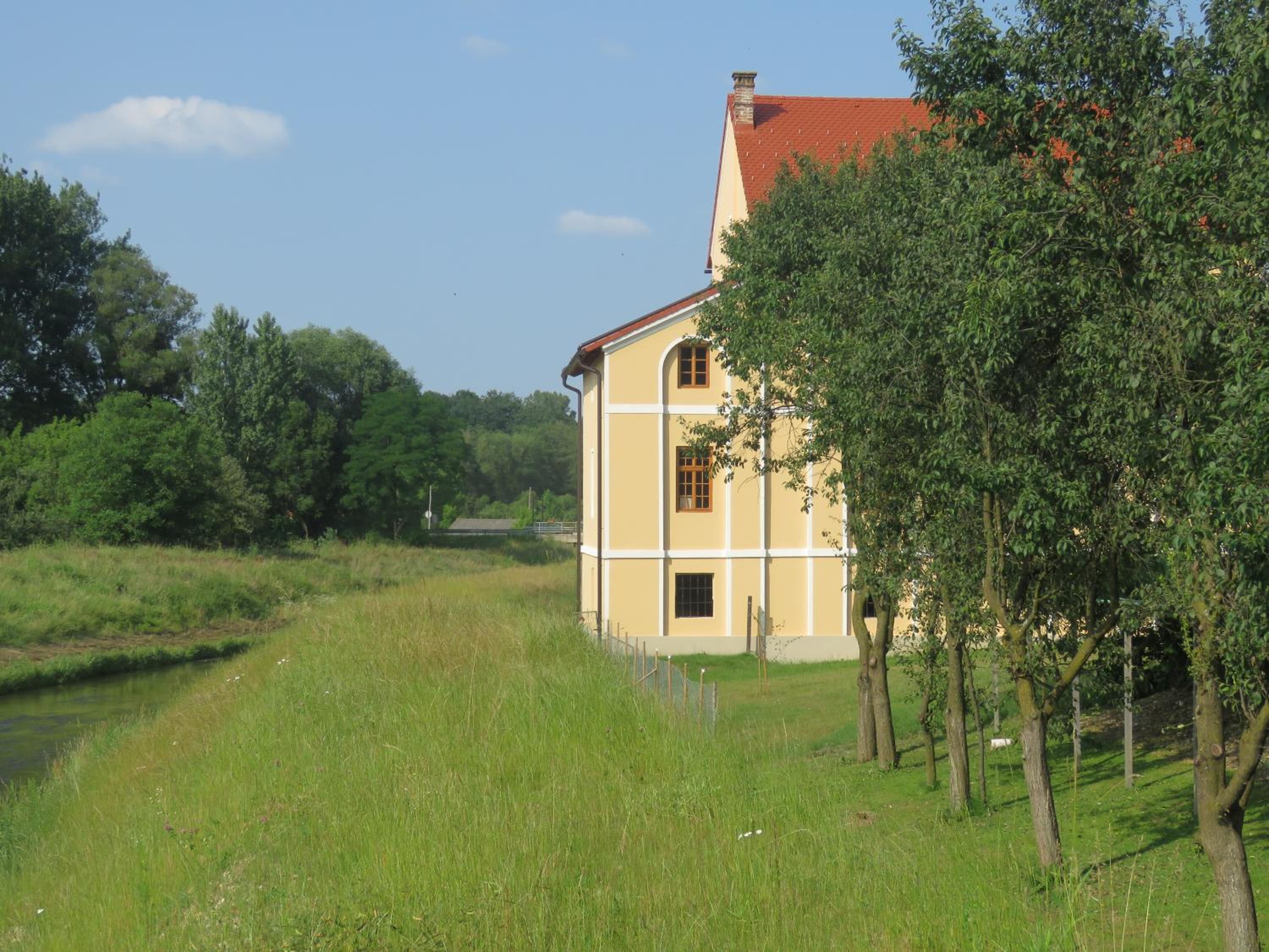 Photo 29